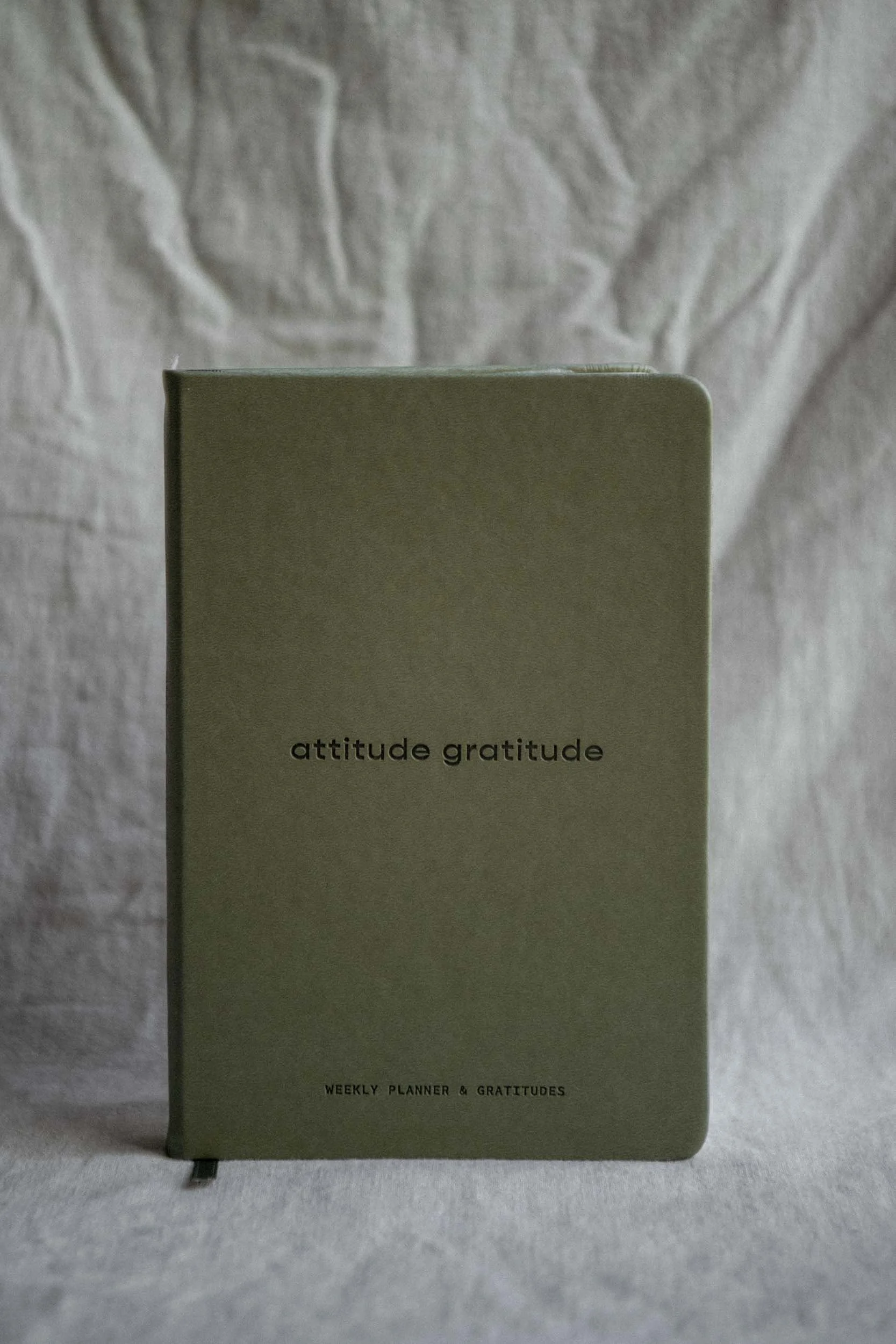 20250623_Attitude Gratitude_product_weekly-planner-gratitudes-web_46.jpg
