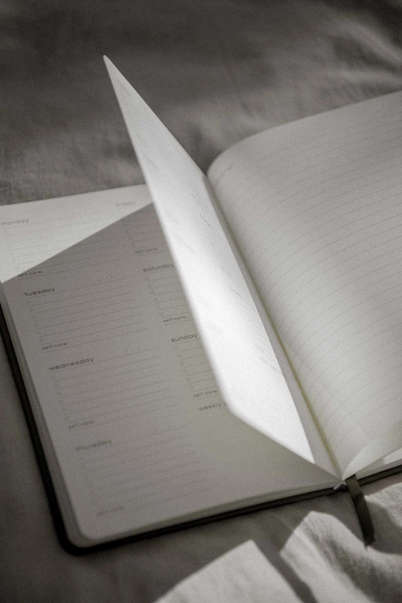 20250623_Attitude Gratitude_product_weekly-planner-gratitudes-web_94.jpg