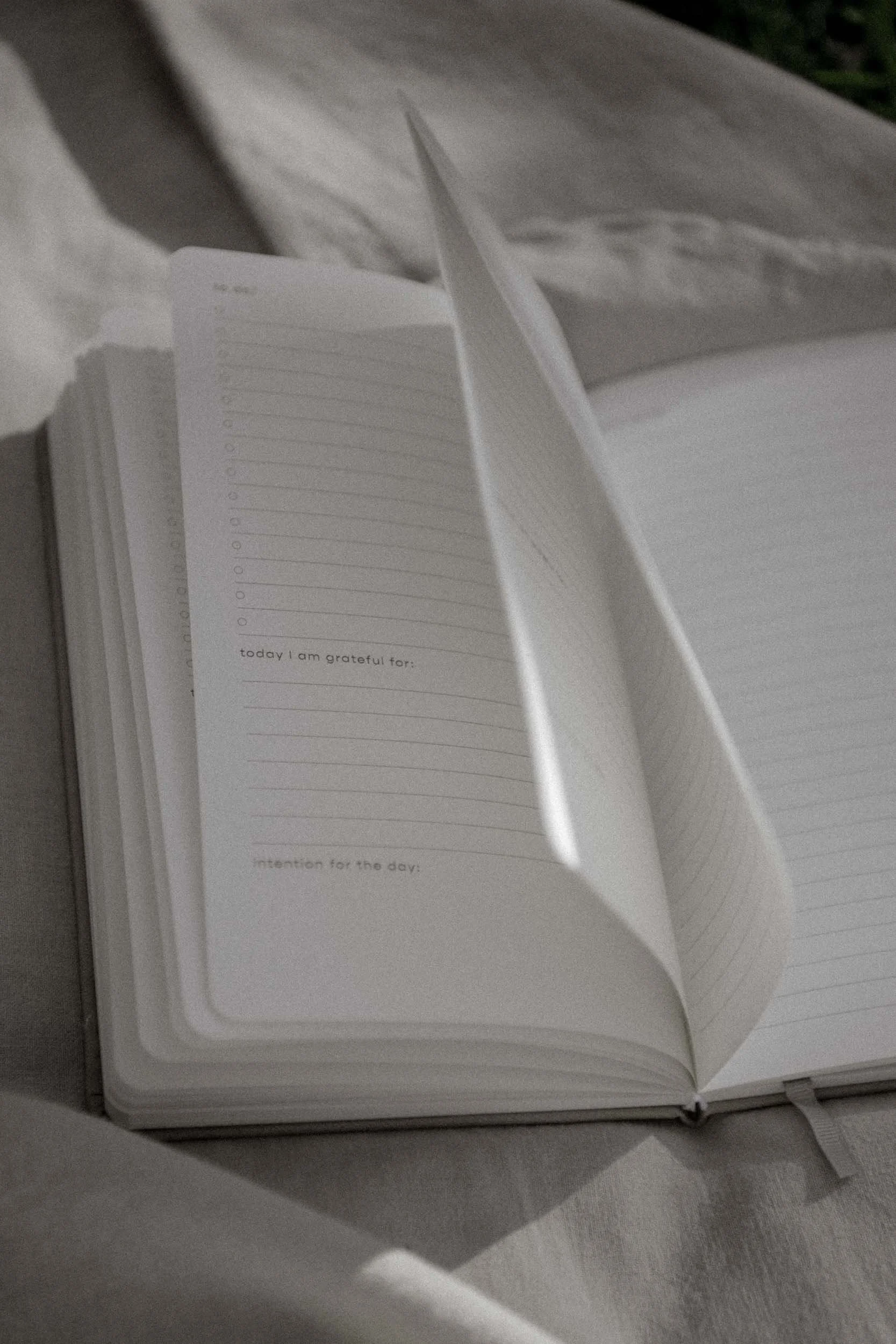 20250623_Attitude Gratitude_product_organiser-daily-gratitudes-web_49.jpg