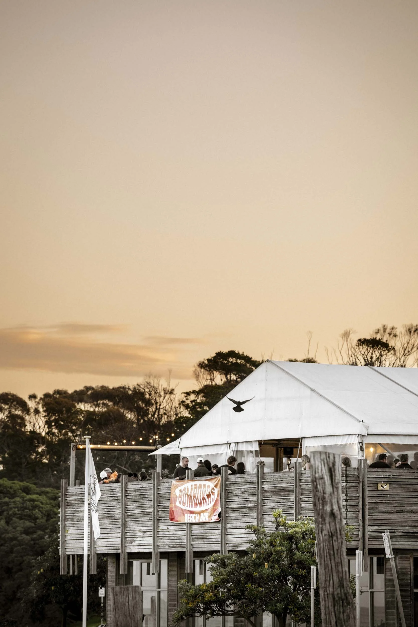 Megowan_Kindred Torquay 2025_web_13.jpg