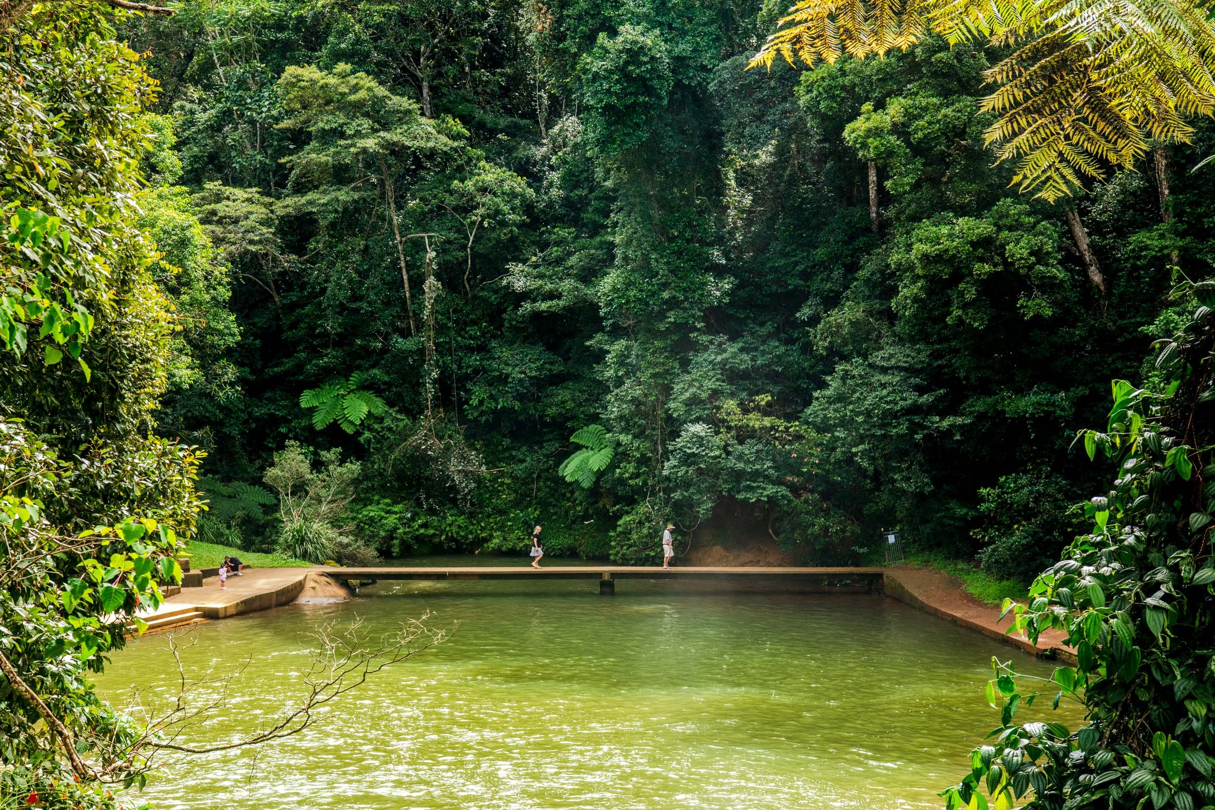 2025_TRC_Malanda Falls_web_8.jpg