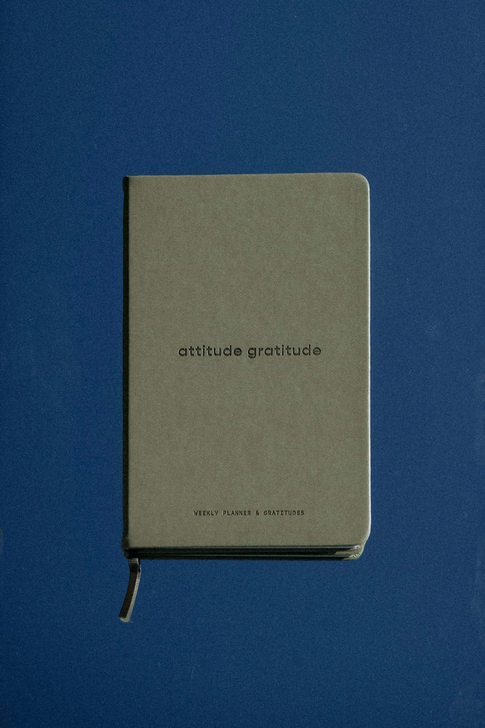 20250623_Attitude Gratitude_product_weekly-planner-gratitudes-web_103.jpg