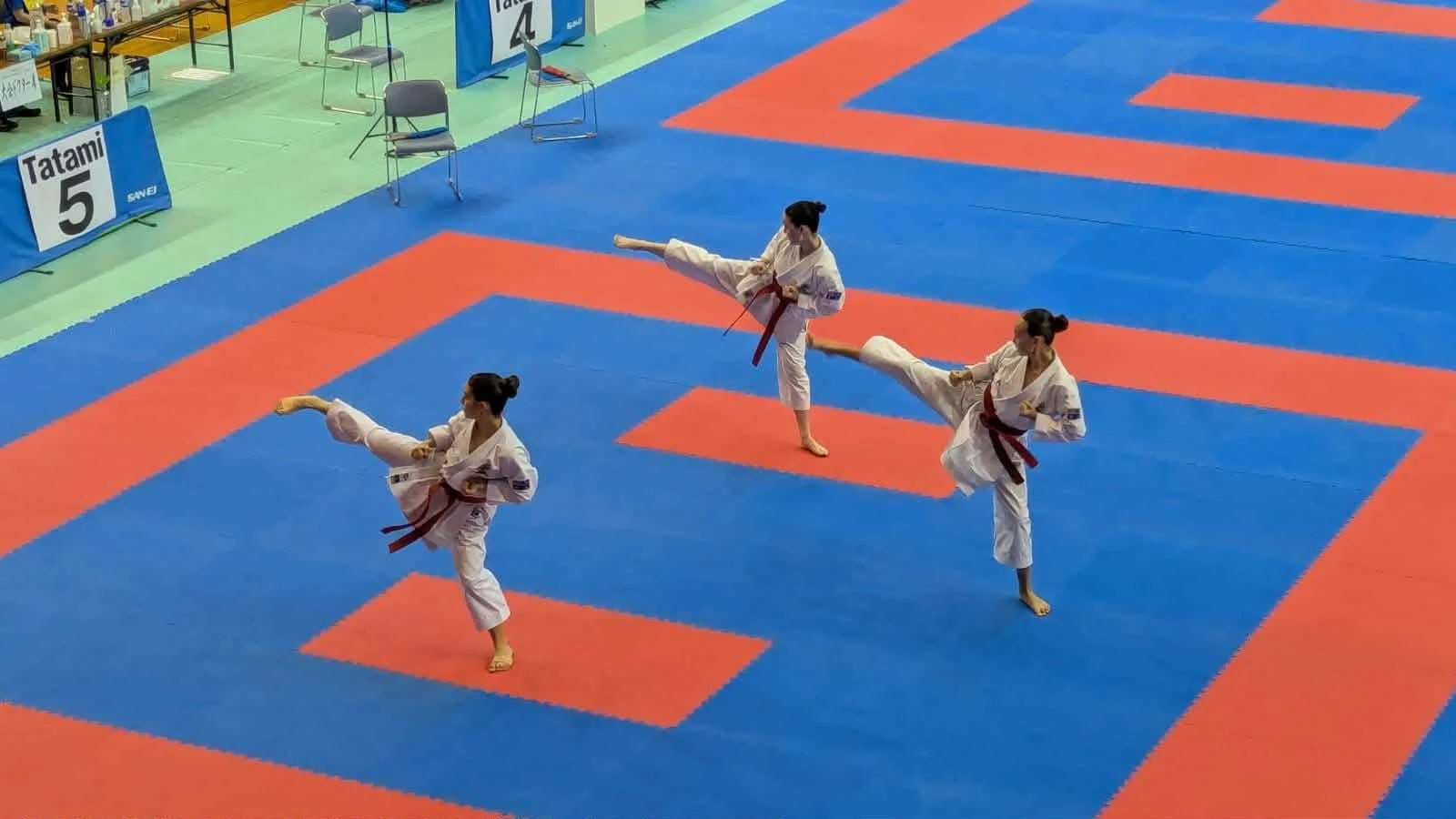 487c011f-8225-44df-afae-268b555d0bc8.jfif