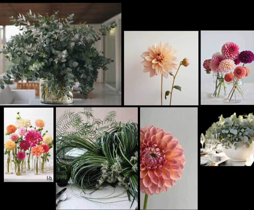 Screenshot 2025-11-19 at 10.32.23 am.png