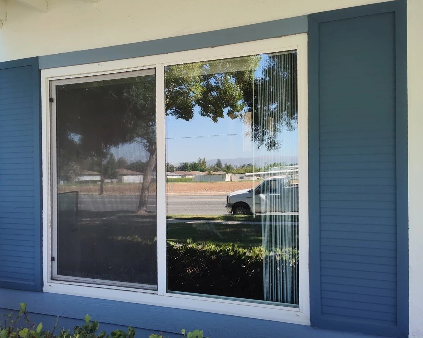 Window 3.jpg
