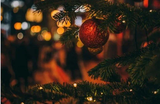 Screenshot 2026-01-08 150939.jpg