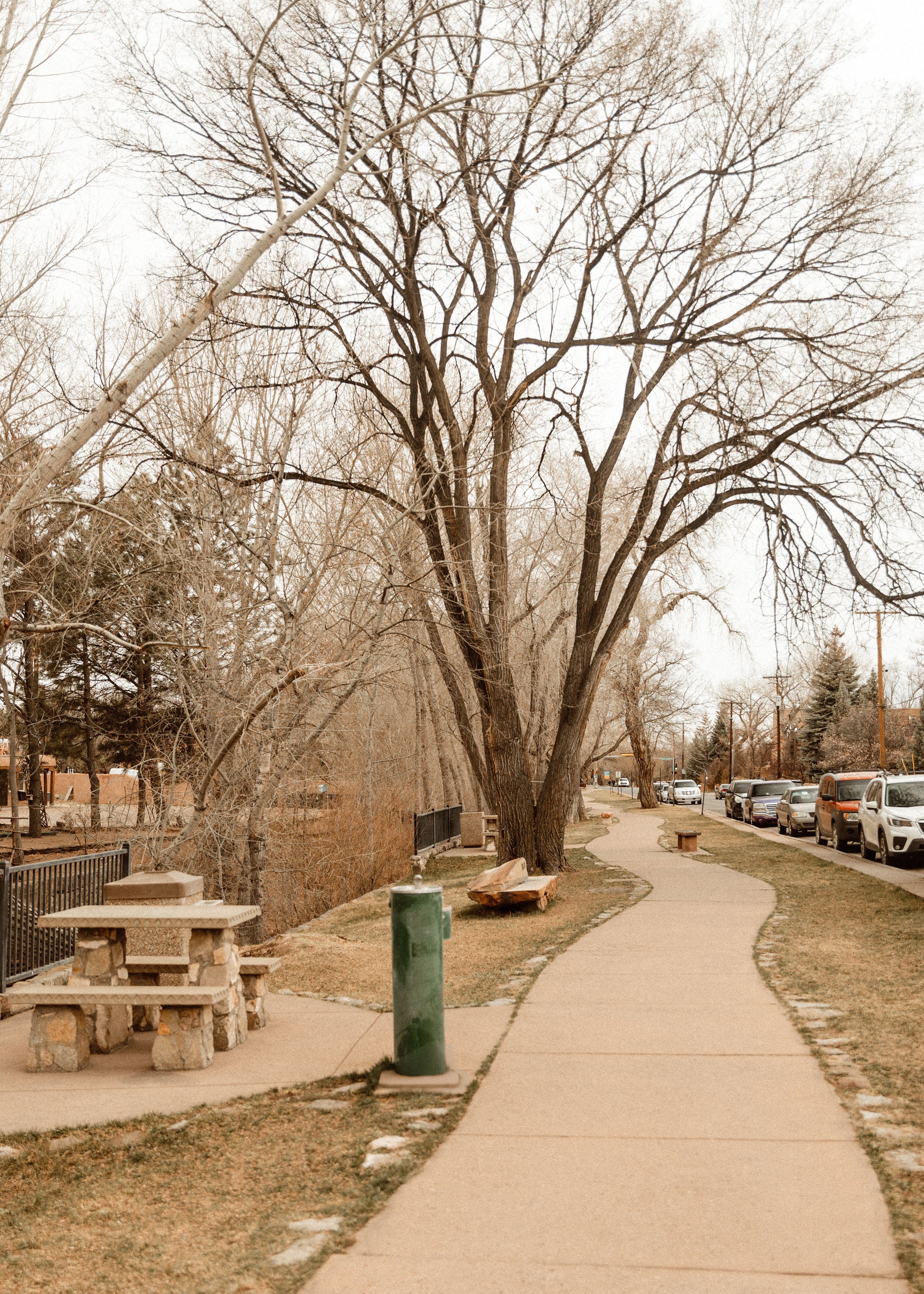 A sidewalk lined with bare trees on the right and park benches on the left, with parked cars along the street in the background; overcast sky.