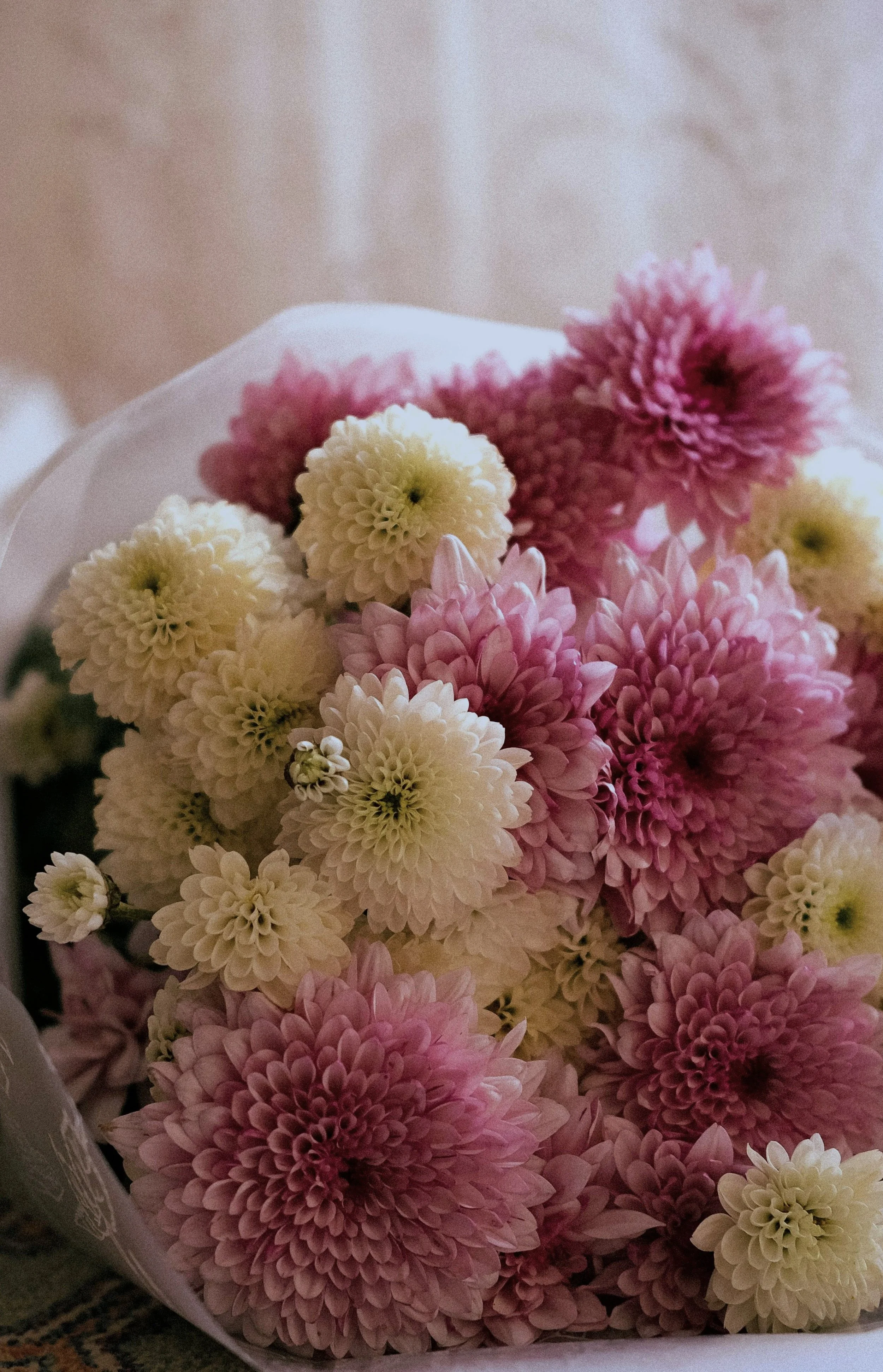 Mother's Day Seasonal Bunch - Heirloom Chrysanthemums