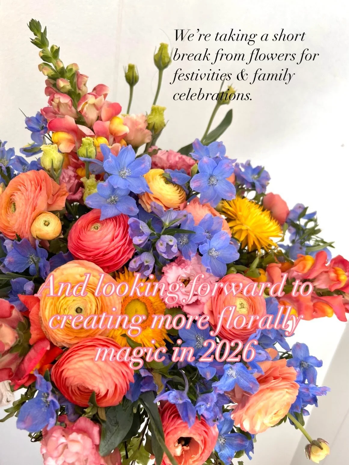 Planning an intimate celebration in 2026? We&rsquo;re taking bookings now- fill in an enquiry form or dm to stay your floral story.

While flower orders and bouquets won&rsquo;t resume until Jan 12, feel free to reach out - always happy to chat flowe