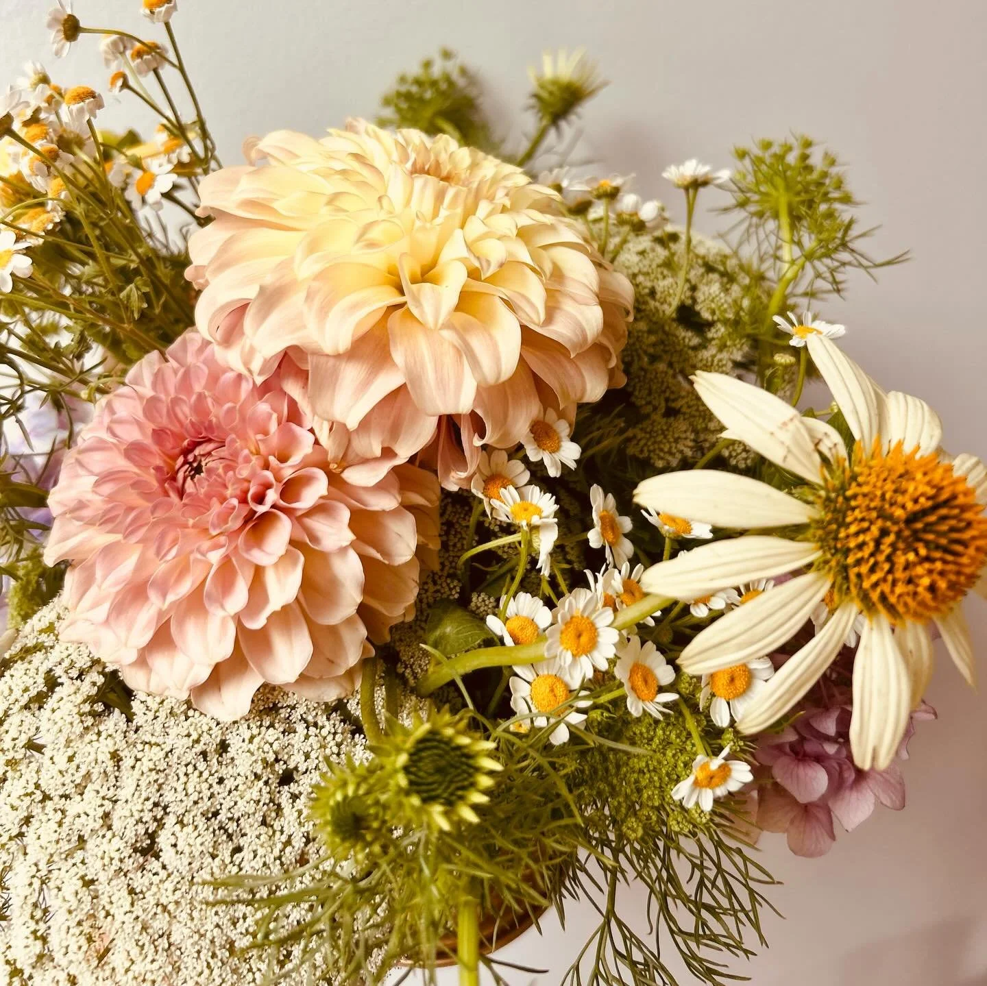 Pretty petals to welcome in the new year✨

I have been a little busy during my break&hellip;renovating a house, turning 50 and generally enjoying life so haven&rsquo;t quite gotten to updating the website!

I will be working on it this week, and also