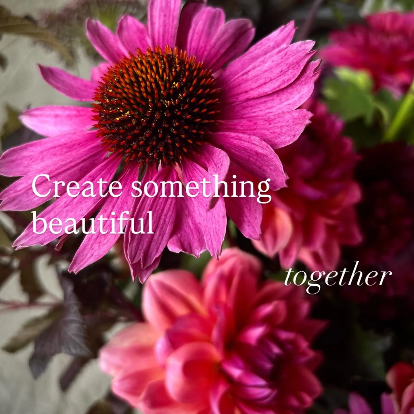 Galentine&rsquo;s isn&rsquo;t about perfection.

It&rsquo;s about laughter, connection, and flowers spread across the table.

A joyful, soulful workshop - red, pink, whimsy, and wild hearts welcome🥀&hearts;️
.
.
.
.
.
#blossomadblaze_floral #galenti