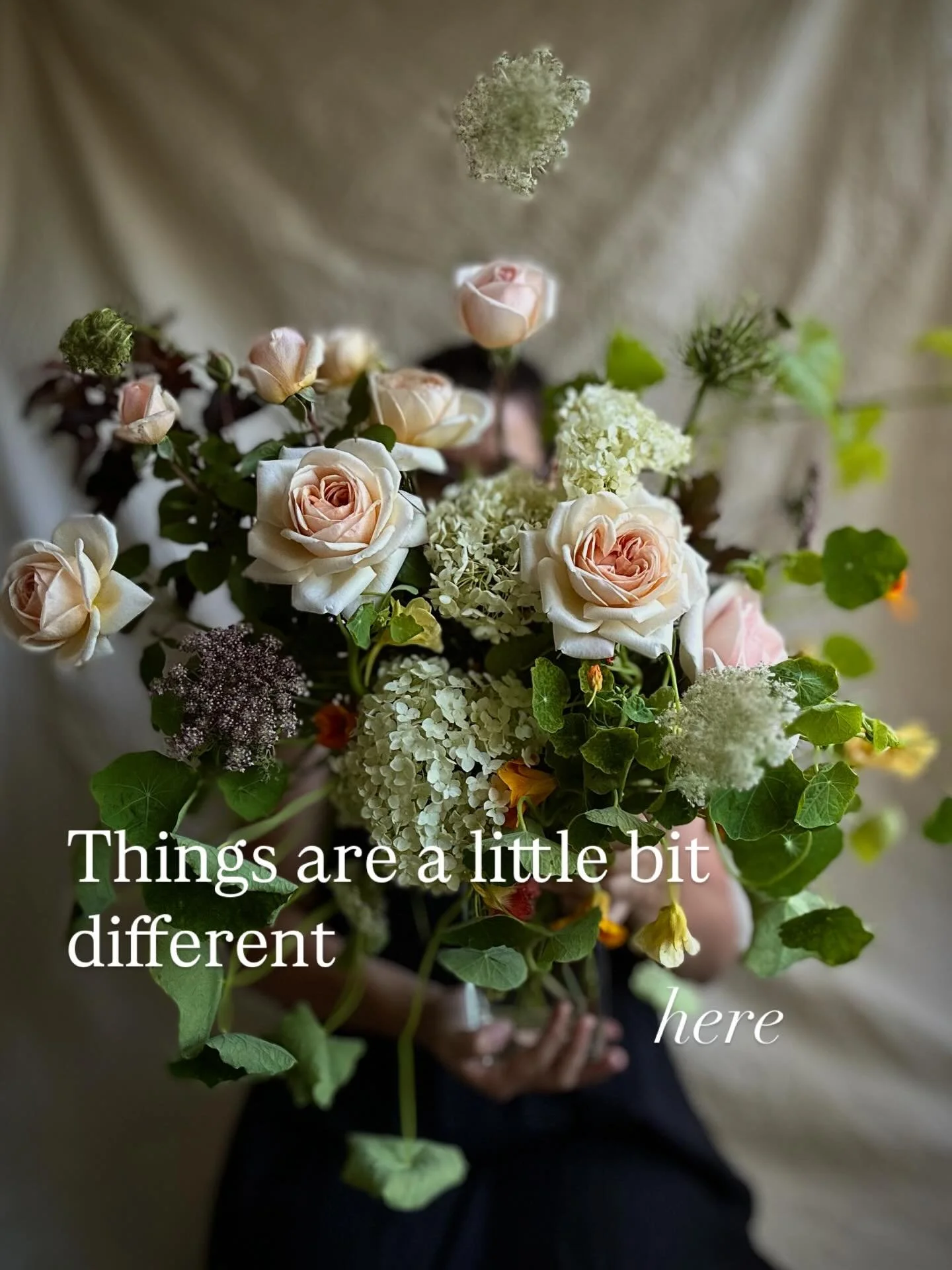 Things are a little bit different here. Farm-fresh flowers. No cold storage. No imports. 

Just seasonal gorgeousness.

Intuitive, intentional design.
No cookie-cutter florals. No mass production.

Just soulful blooms made to order for you.

Sustaina