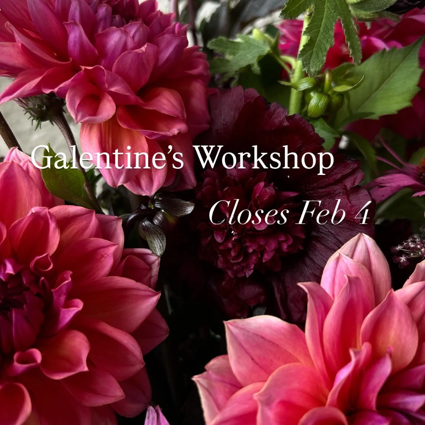 Galentine&rsquo;s Bouquet Workshop closes Feb 4!

Why does it closes before the actual workshop day (Feb 7)?

Working with fresh flowers, wanting the very best blooms for you but also having a strong ethos around reducing waste, means that I only ord