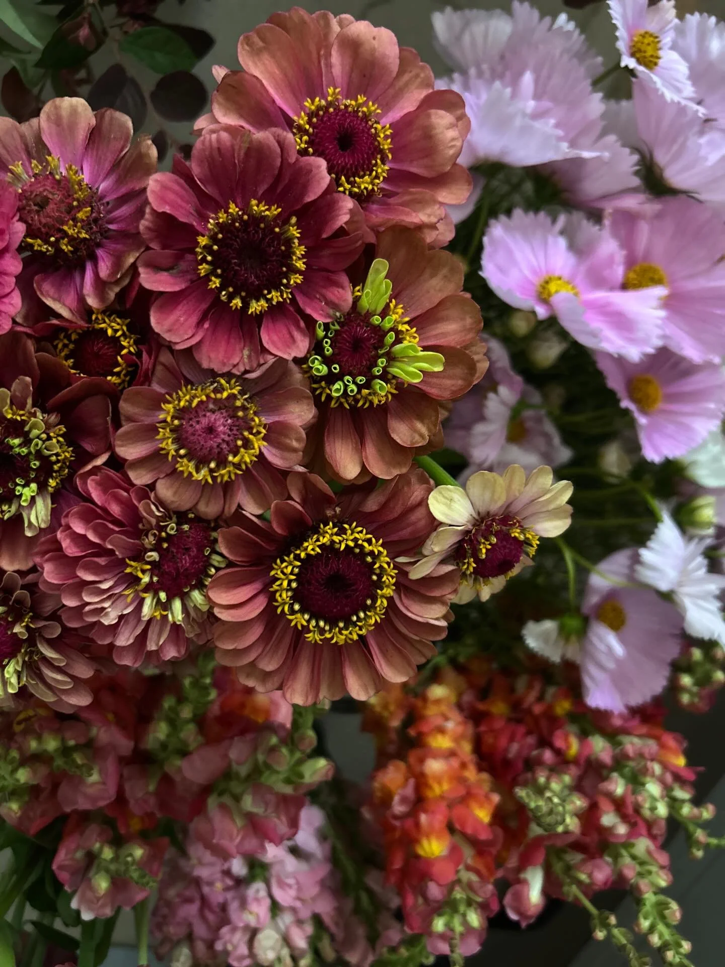 Some of the beauties for today&rsquo;s workshop!
.
.
.
.
.
#blossomandblaze_floral #seasonalflowers #hillsdistrictworkshop #hillsdistrictflorist #bouquetworkshop