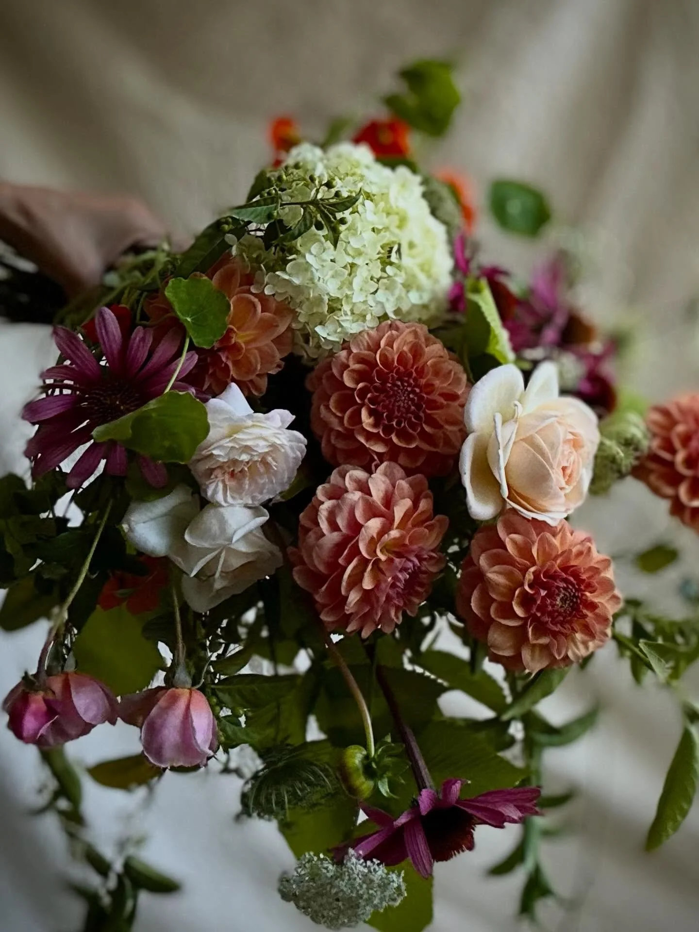 Working with what&rsquo;s in season means less waste, more beauty, and more flowers that truly belong to the moment they&rsquo;re in.

No set recipe.
No forced colours.
Just nature, interpreted gently.

If you&rsquo;re after flowers that are grown lo