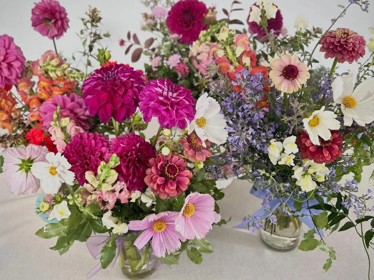 The Gathered Jar Ritual is for those who love having flowers around. Those who realise the value of fresh flowers and crave rhythm.

🌸Ten seasonal jars- one is my complimentary gift to you!
🌸Wednesdays Weekly or fortnightly. 

Flowers, taken care o