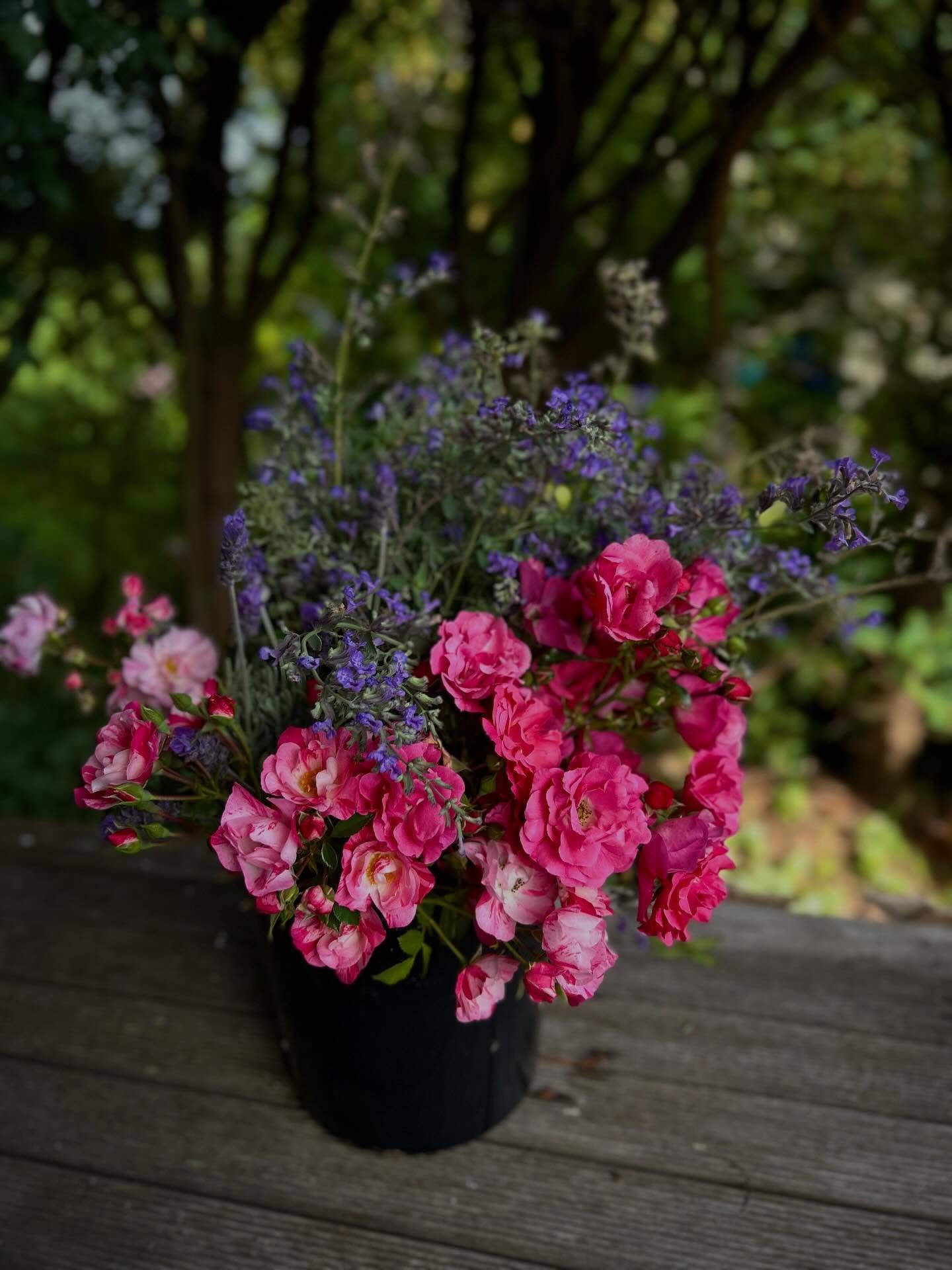 Grown with love, gathered with care and designed with intention. 

Flowers that are grown for their beauty, their emotion, the way they speak to you. Grown to be handled thoughtfully. 

These are not grown to travel thousands of kms in cold storage. 