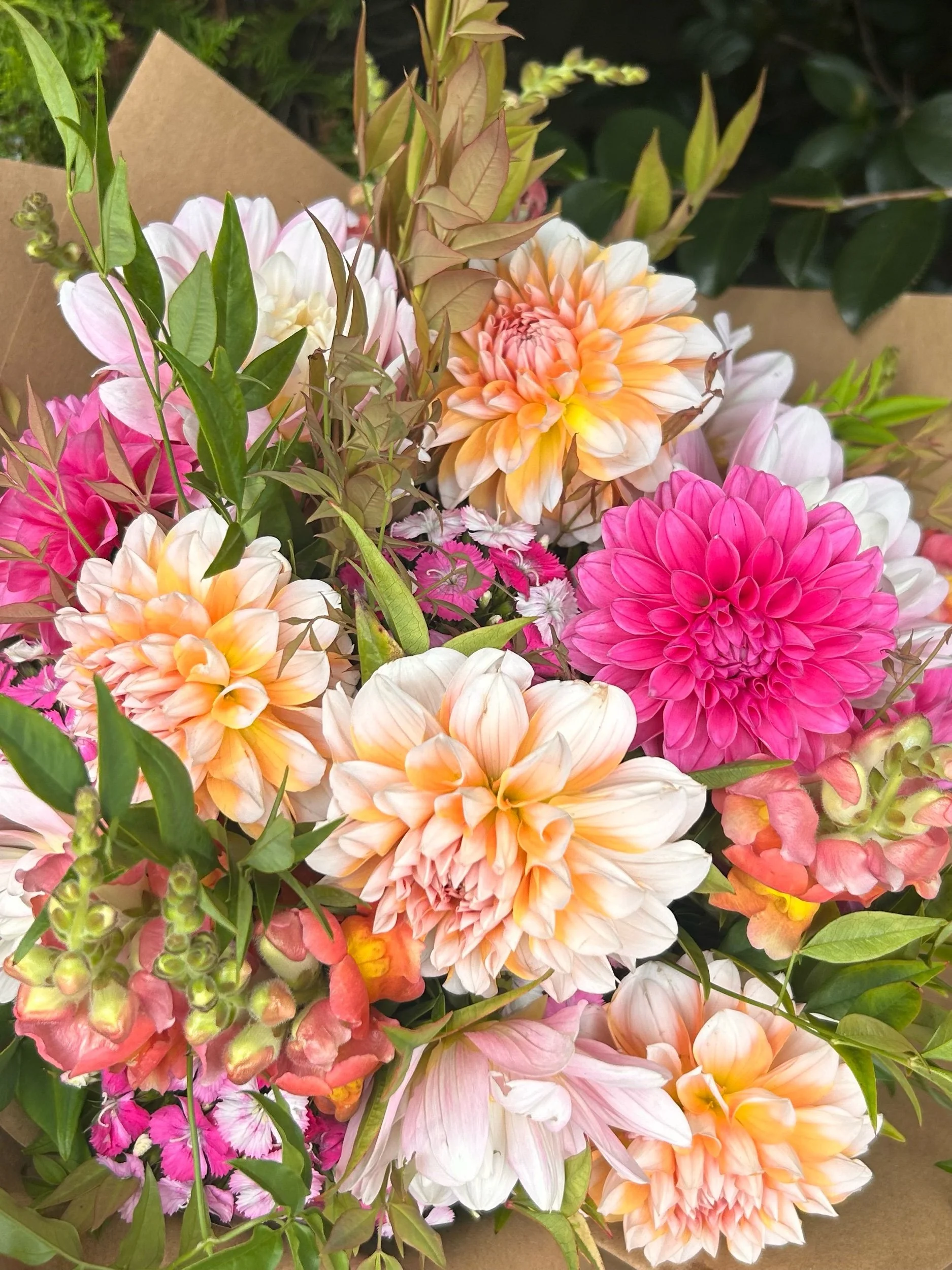 D67A246B-F8F8-474B-84AD-B6FBC96C7335.jpeg (Copy)