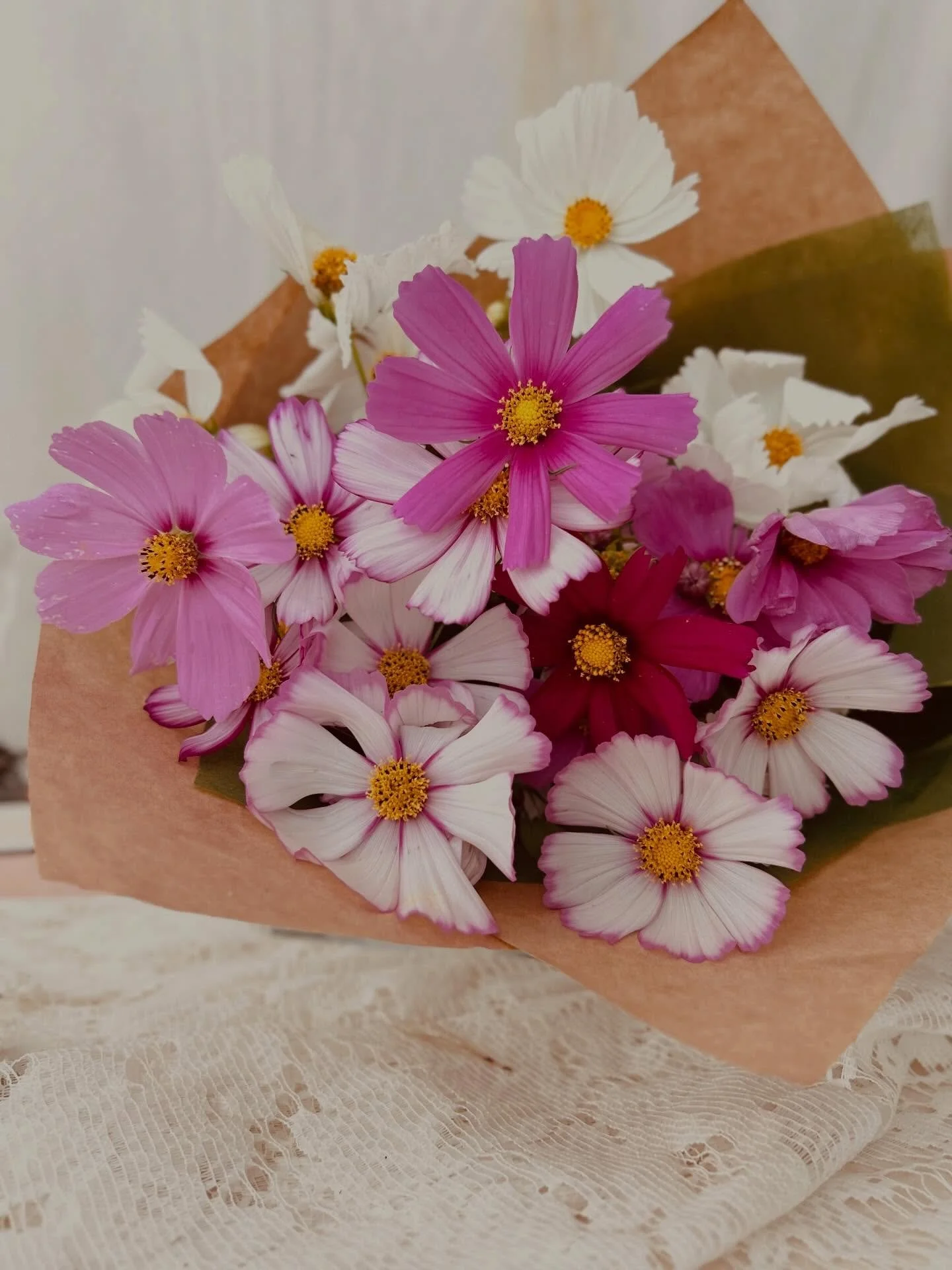 Did you know? I am now offering seasonal market bunches? 

Perfect as a little thank you or good luck, or just to brighten a room.

All the prettiness of seasons blooms, multiplied. Mixed with seasonal foliage, the colour and specific variety is depe