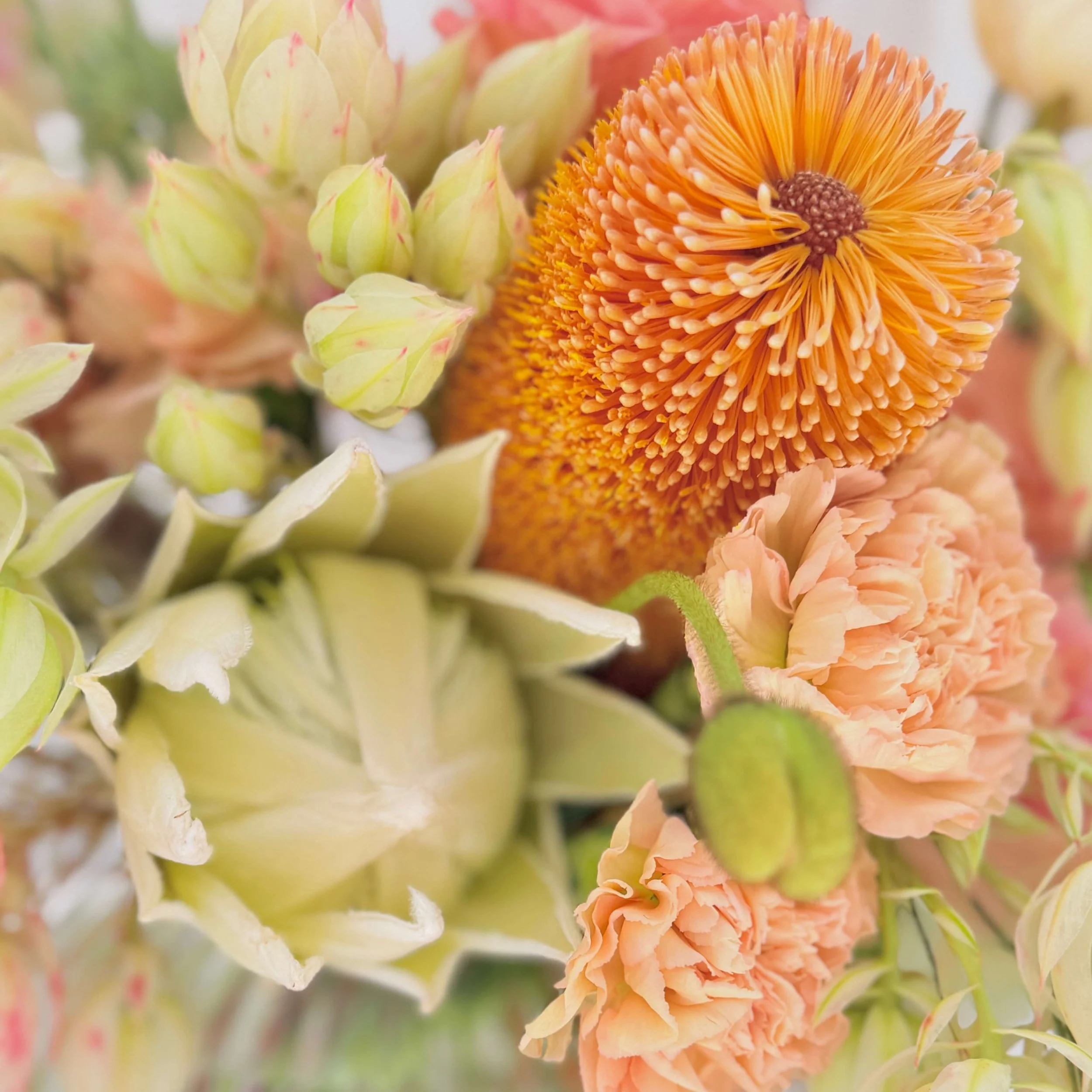 Peaches-and-cream.jpg