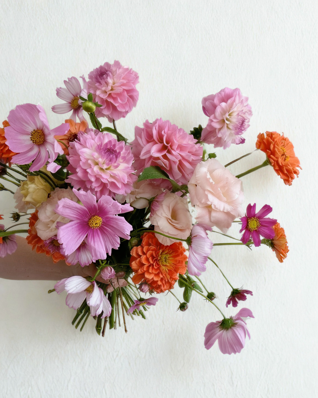 Fairy-dust-standard-blossom-and-blaze-floral.png
