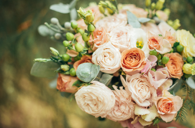 soft-and-light (2).png