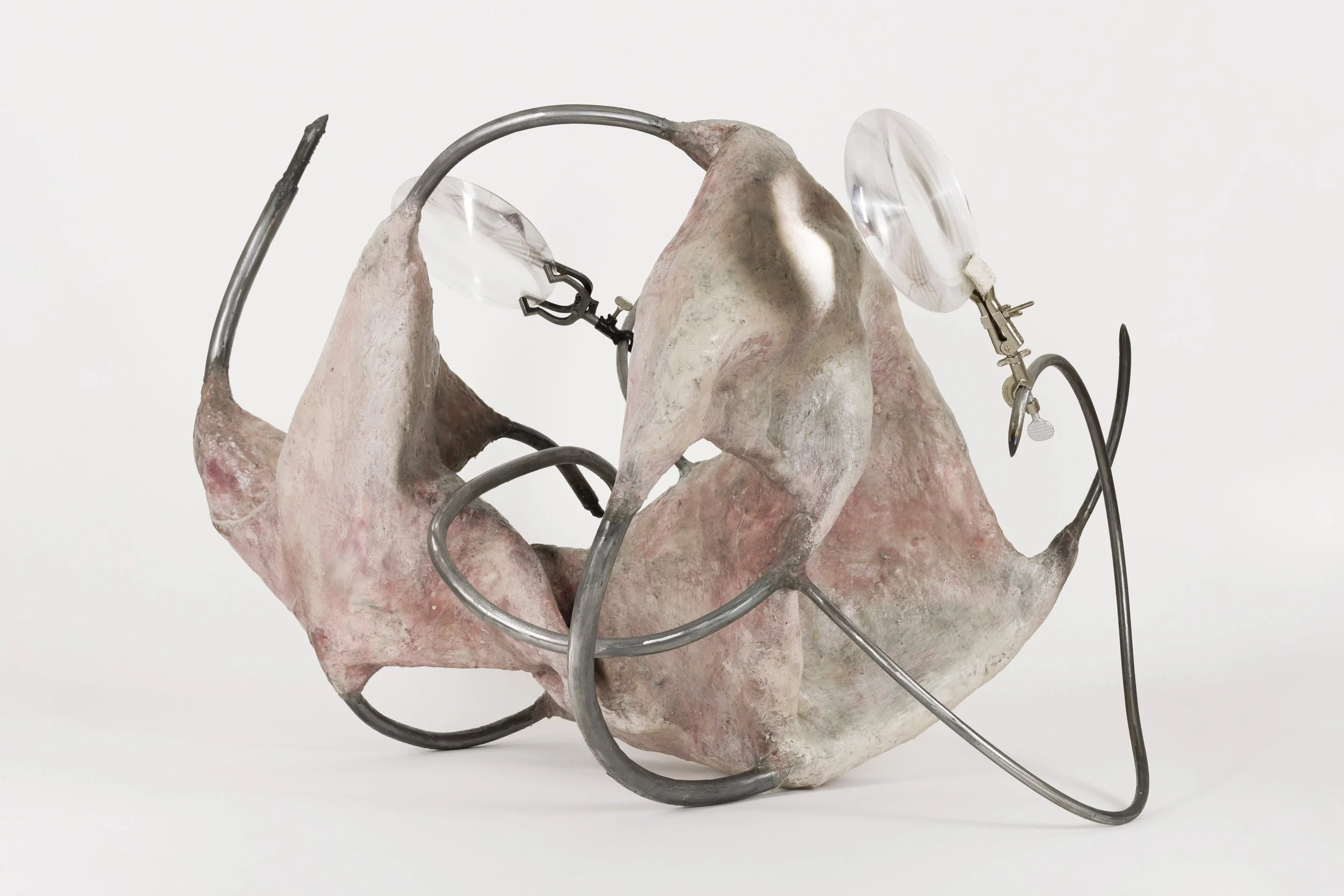 A sculpture of a pink and white animal skull with metallic medical equipment attached, including glasses with wires and metal parts.