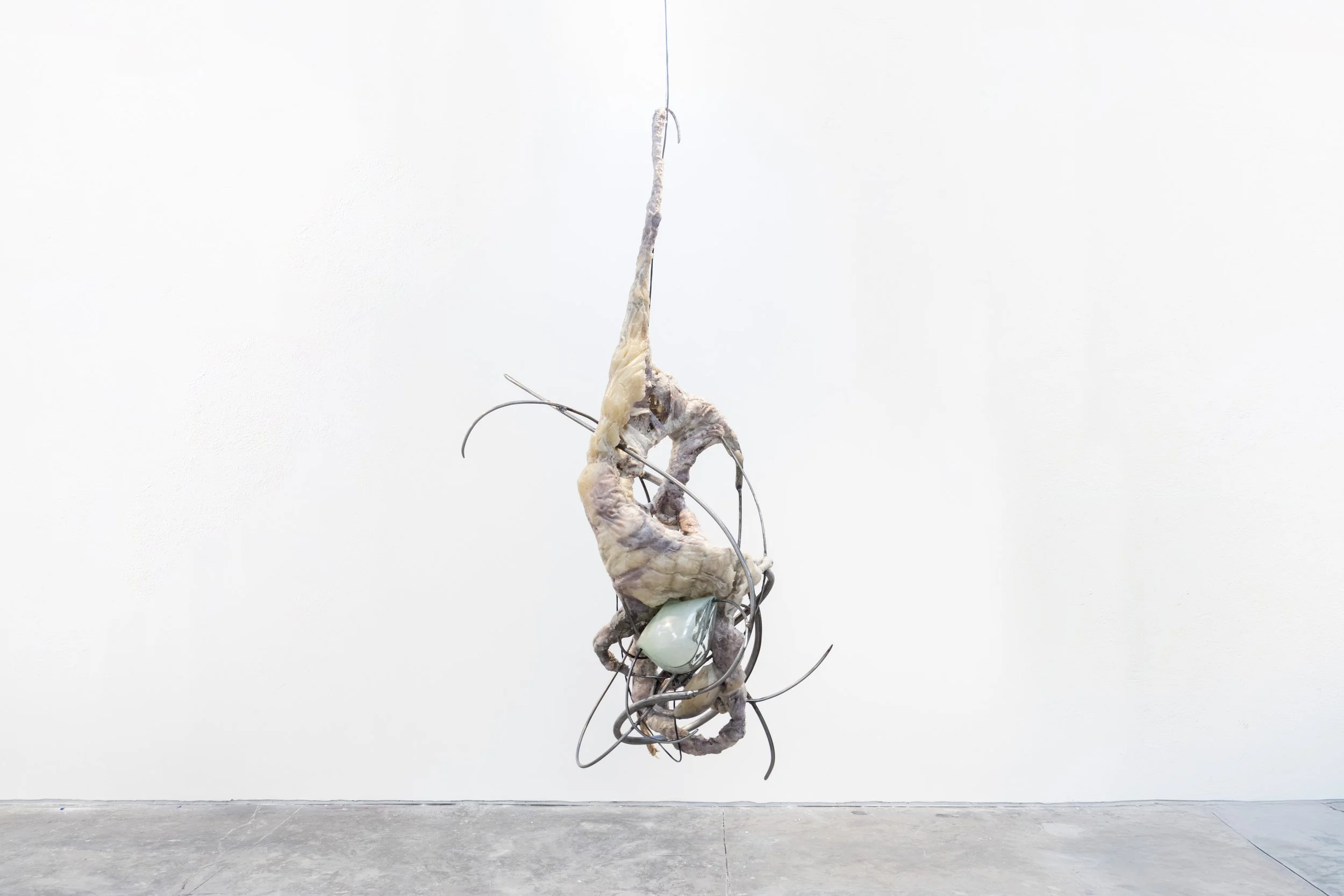 Mixed media sculpture hanging from the ceiling against a white wall, featuring a twisted, organic form with metallic wires and an oval object.