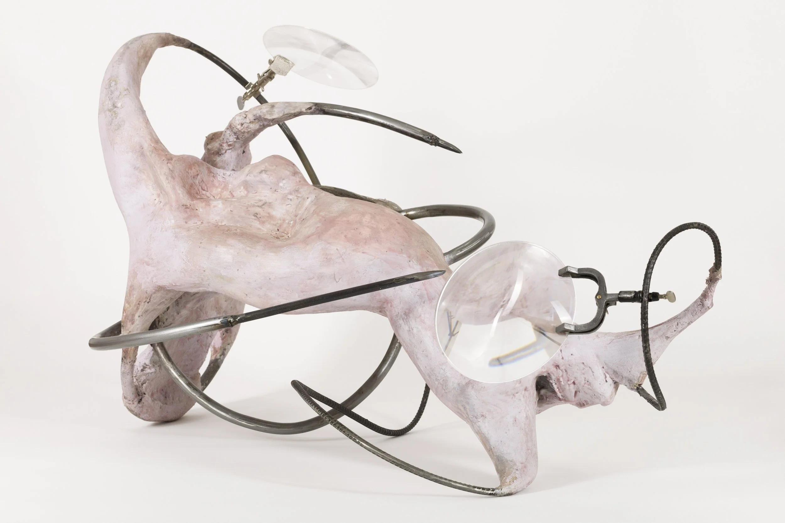 Mixed-media artwork featuring a pinkish, abstract form with metal rods, clear plastic components, and black flexible tubes against a plain white background.