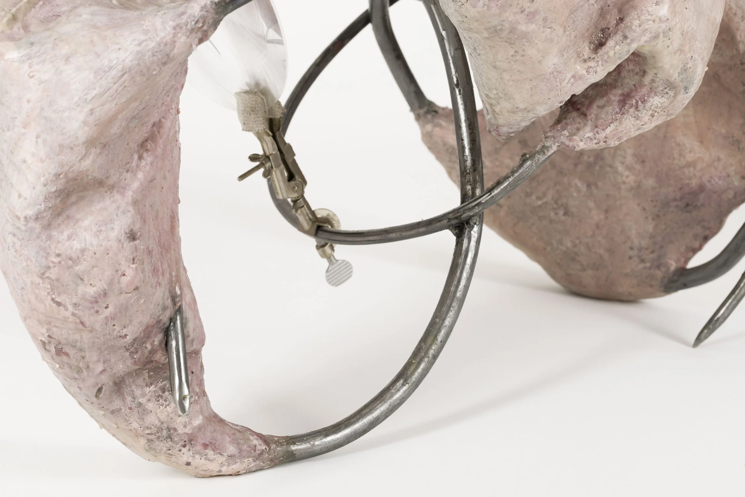 Close-up image of a skeleton holding a pair of eyeglasses with a pinkish bone structure in the background.
