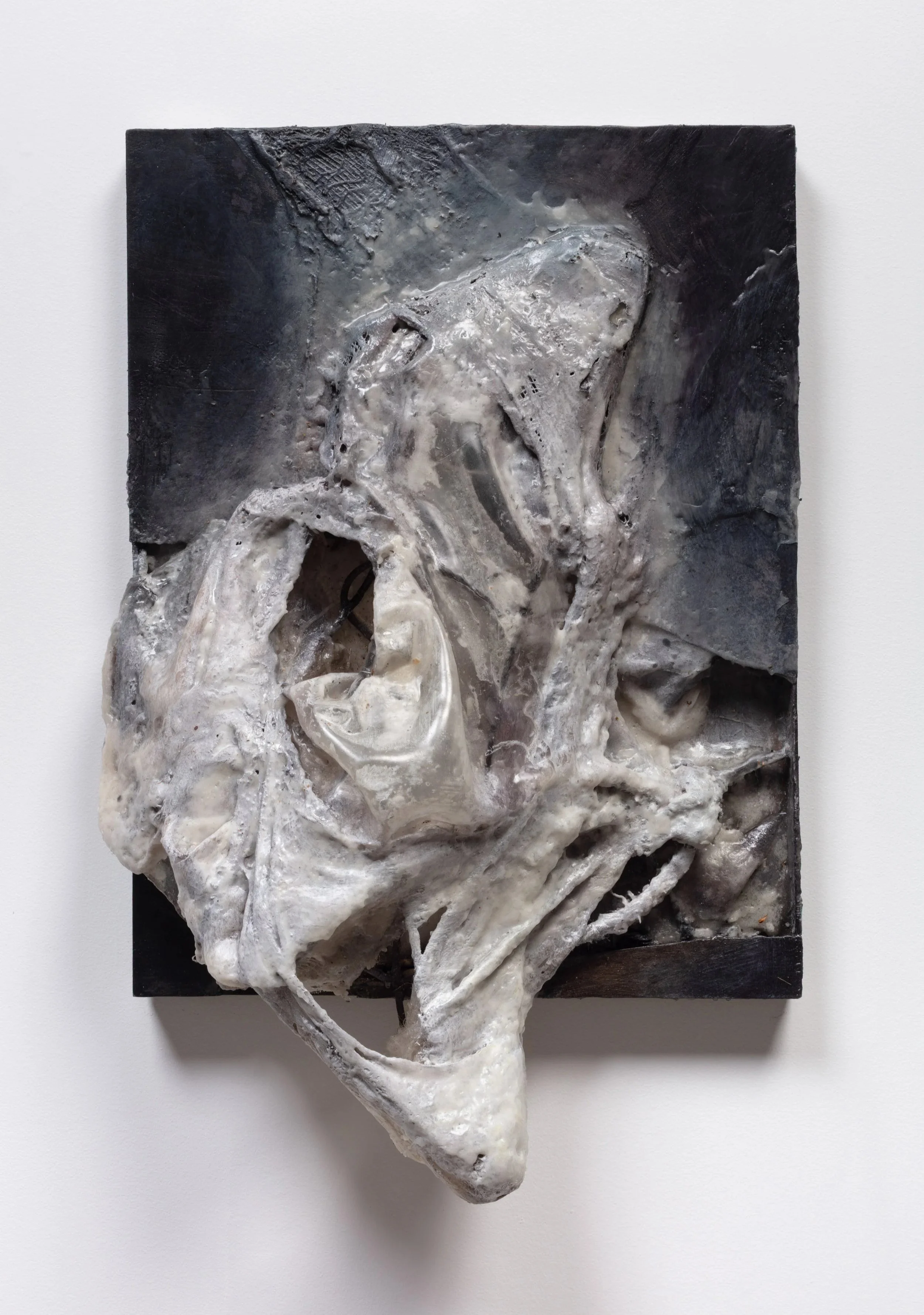 A mixed media sculpture featuring a skull with an abstract, textured design in black, white, and gray tones, mounted on a black and white background.