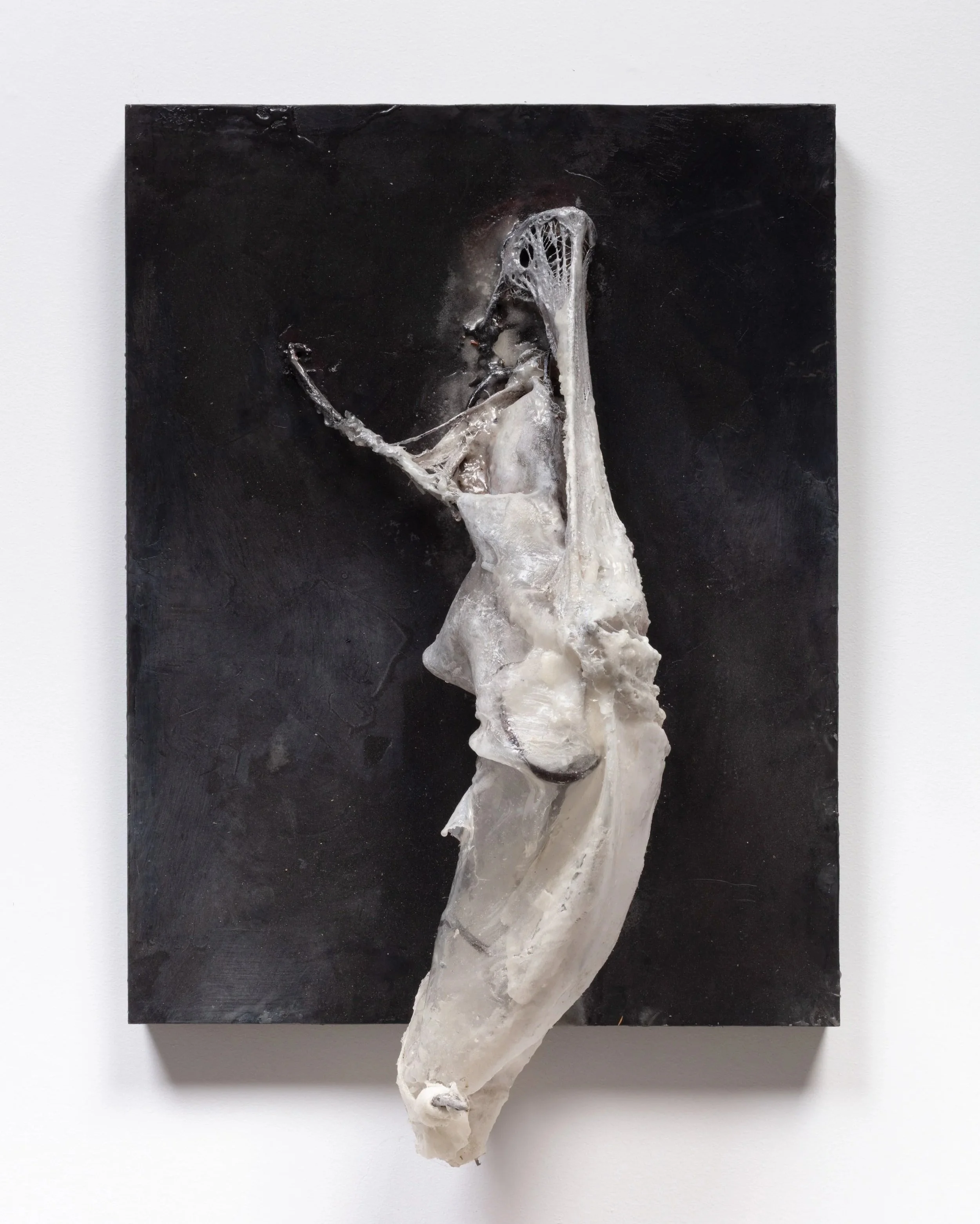 Mixed media artwork featuring a textured, abstract white sculpture on a black background.