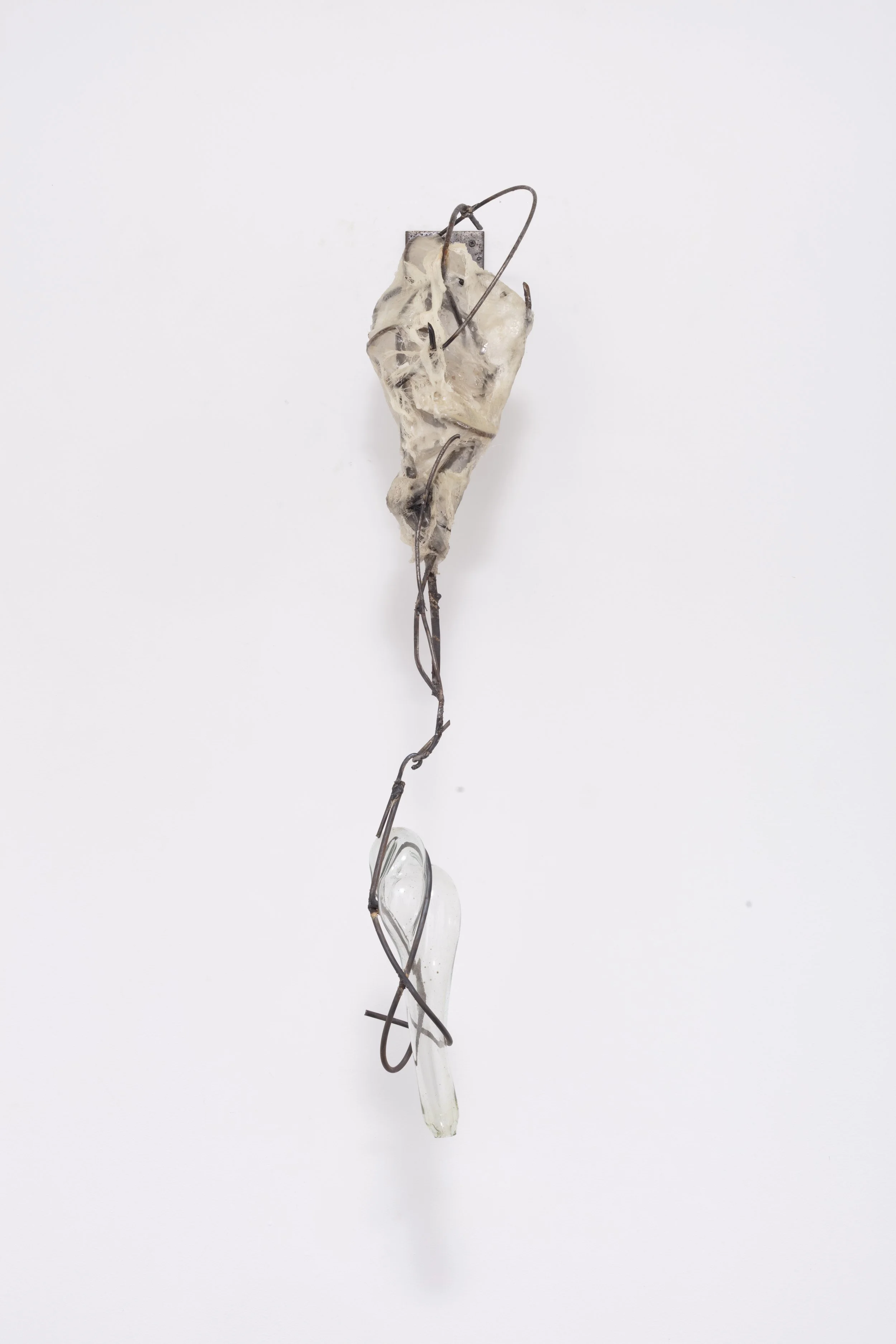A medical artifact resembling a human heart with exposed internal structures, embedded in a white background.
