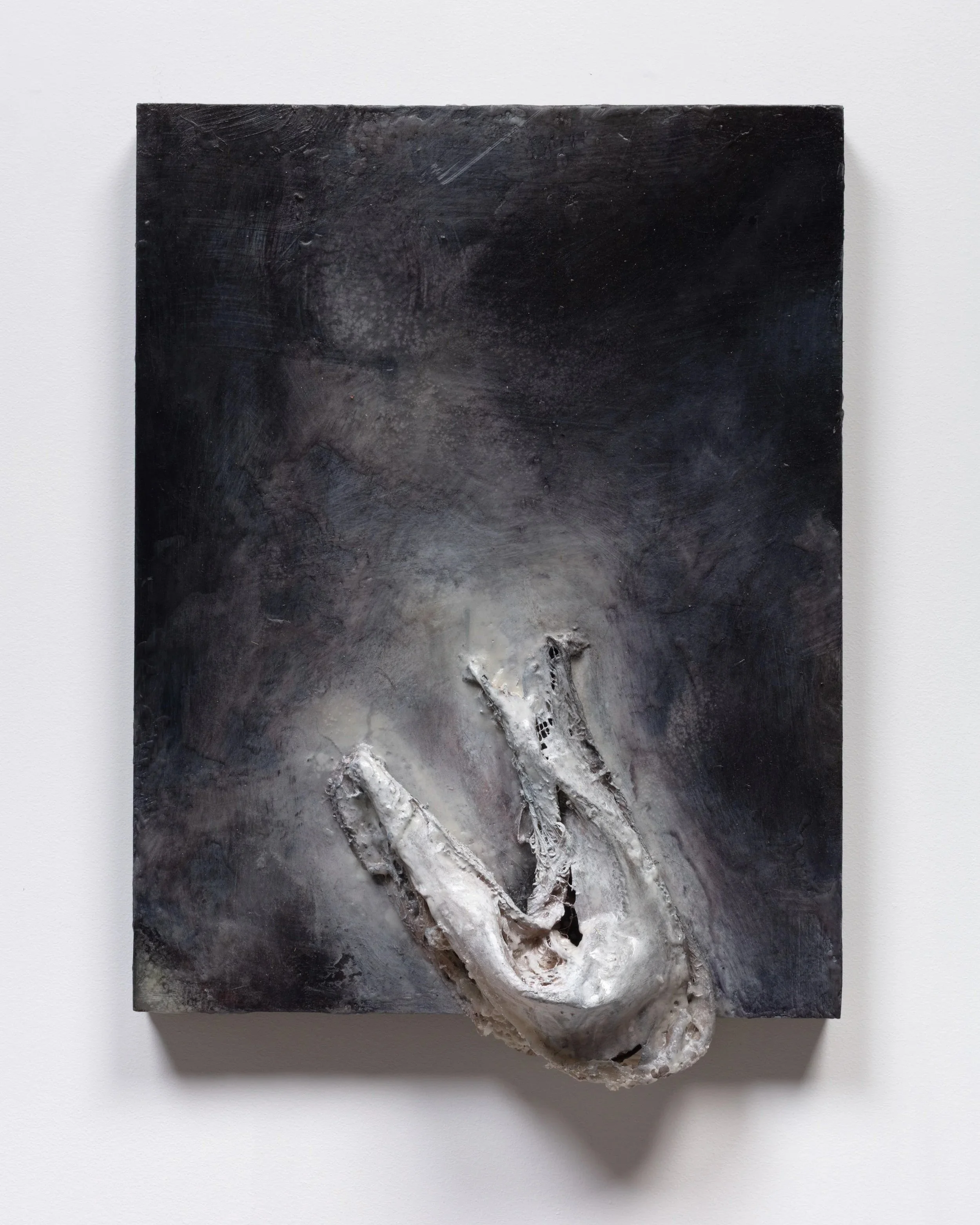 Artwork with a textured black background and white organic structure protruding from the bottom.