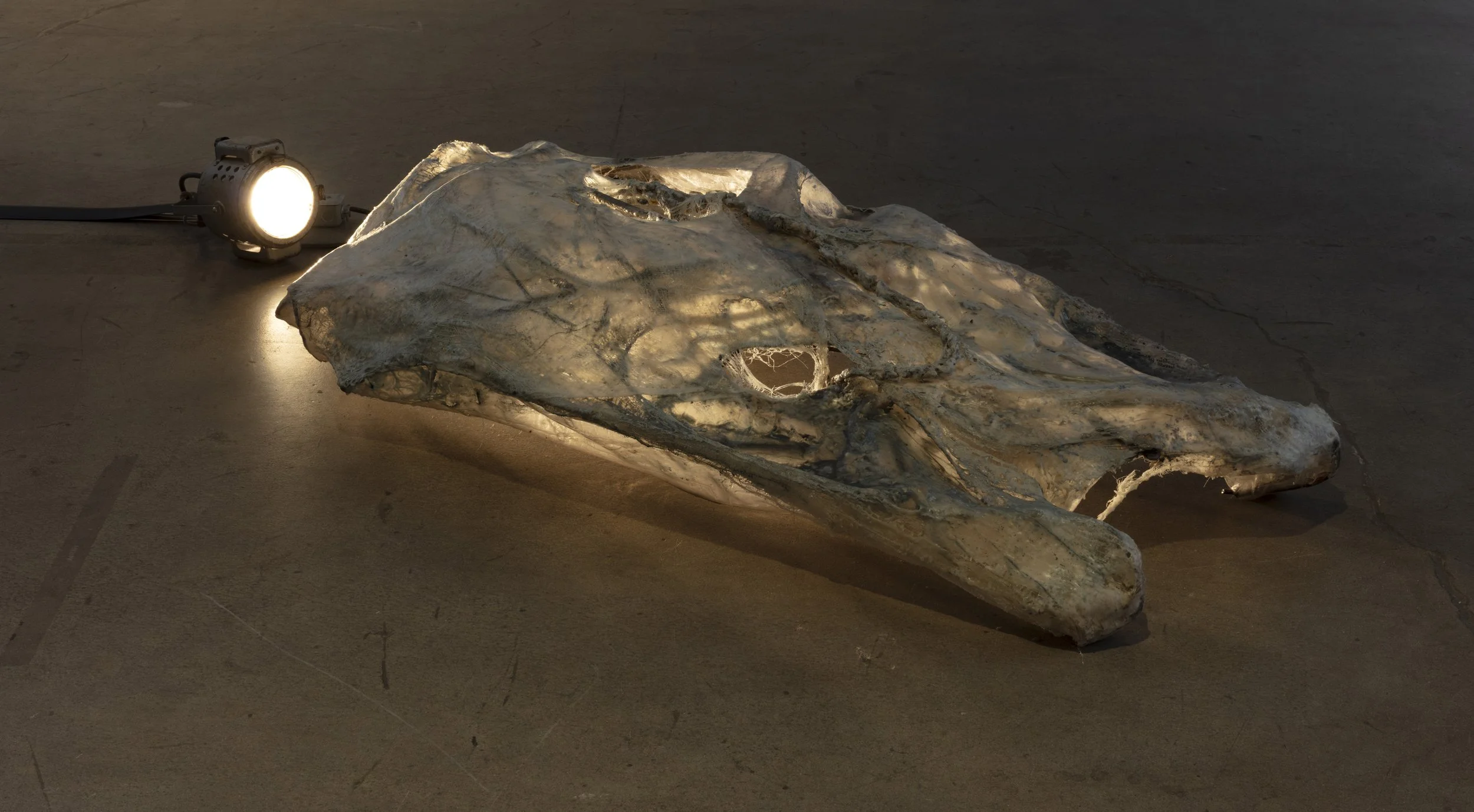 A large sculpture, possibly a whale skull, placed on the ground with a spotlight shining on it in a dark setting. 
A sculptural form made of resin, encaustic, metal, and gauze lies on the floor, illuminated by a spotlight that casts dramatic shadow.