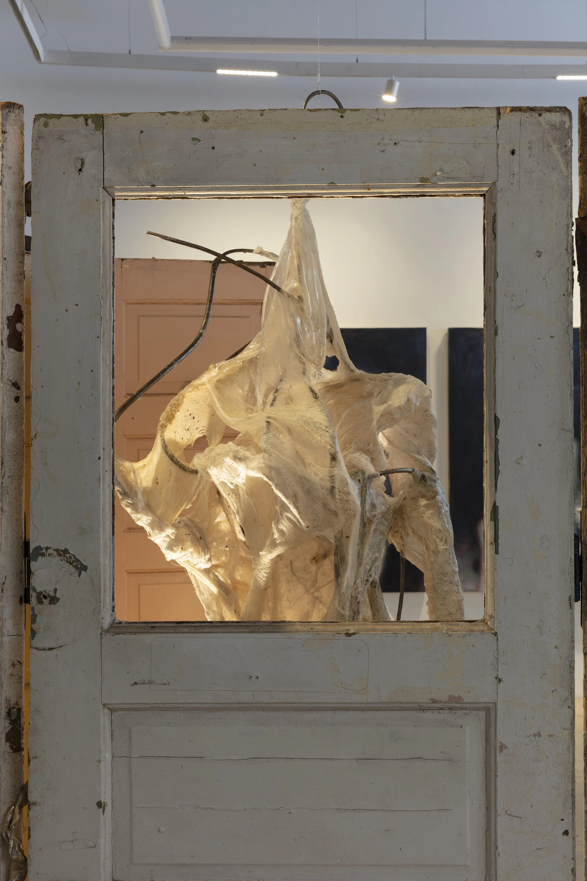 Object with a white, wrinkled, irregular shape inside a white wooden frame, with some green and brown spots, hanging in a gallery or museum setting.