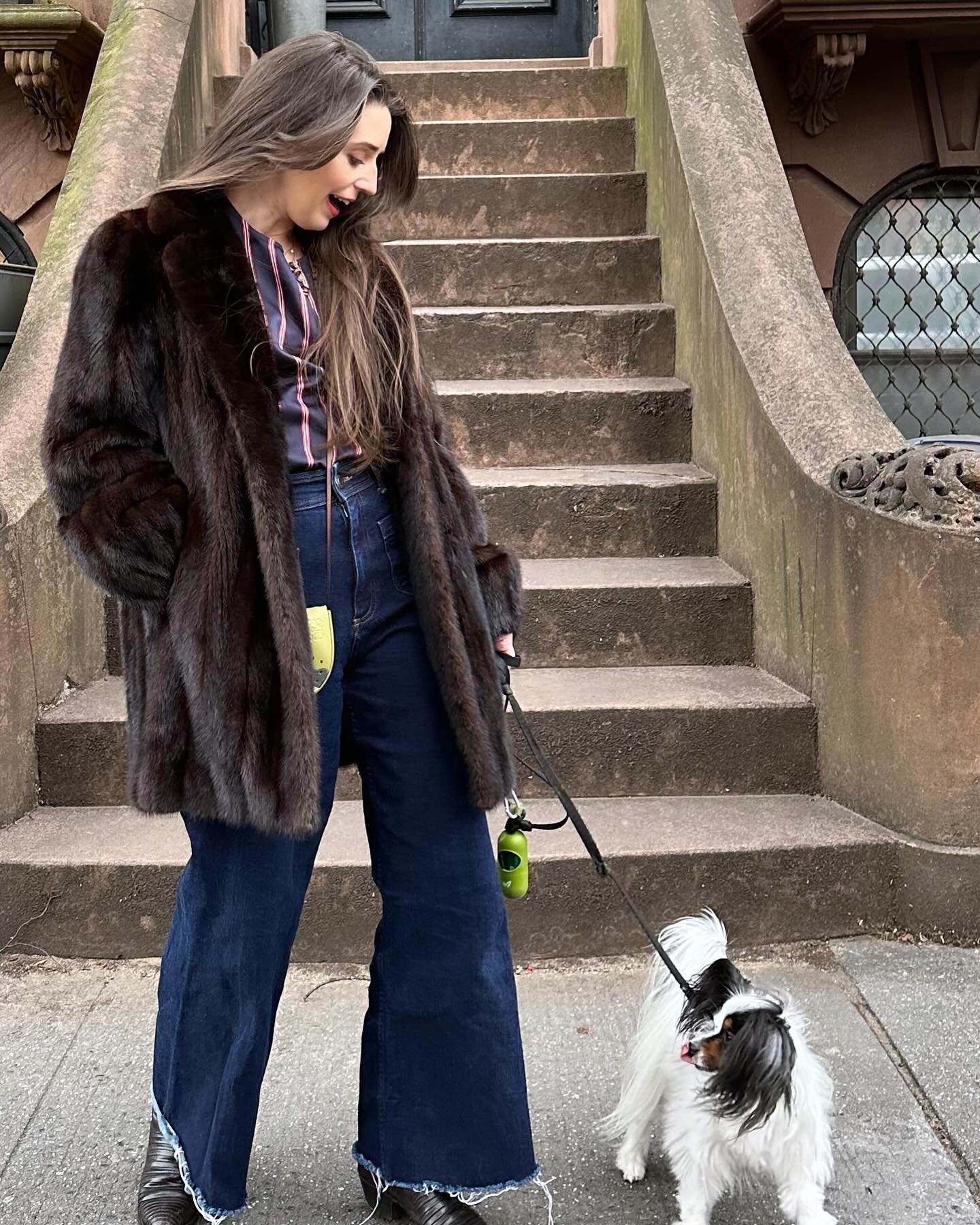 A woman with long brown hair wearing a fur coat and blue jeans walking her small black and white dog on a leash on city street in front of brownstone stairs