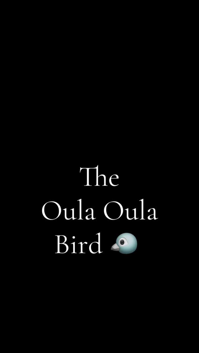 Voici le Testiculus Volantus Maximus.
On l’appelle le Oula Oula…
Parce qu’à chaque fois qu’il se pose, il hurle :
“Oula oula oulaaaa !!”
Un oiseau tropical pas très doué pour l’atterris