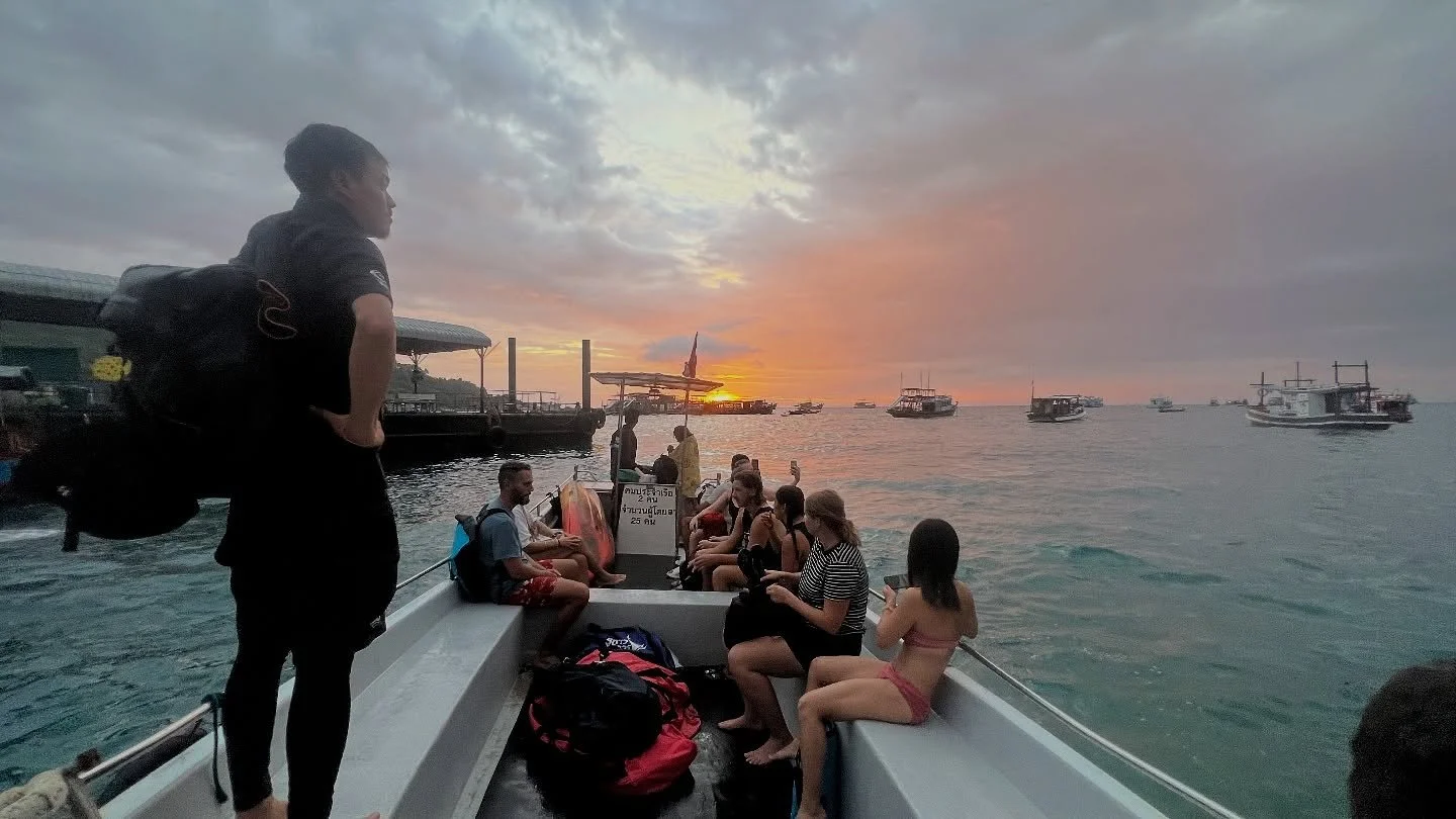 Night dive activated 🥳🐢