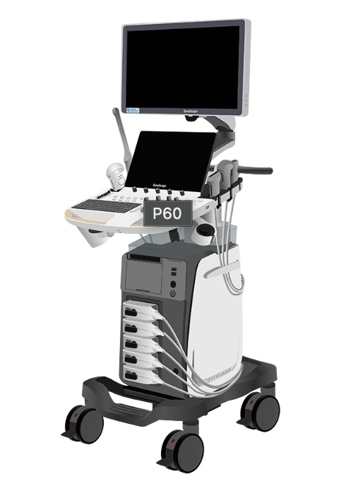 Screenshot 2026-03-22 at 8.24.31 PM-Photoroom.png