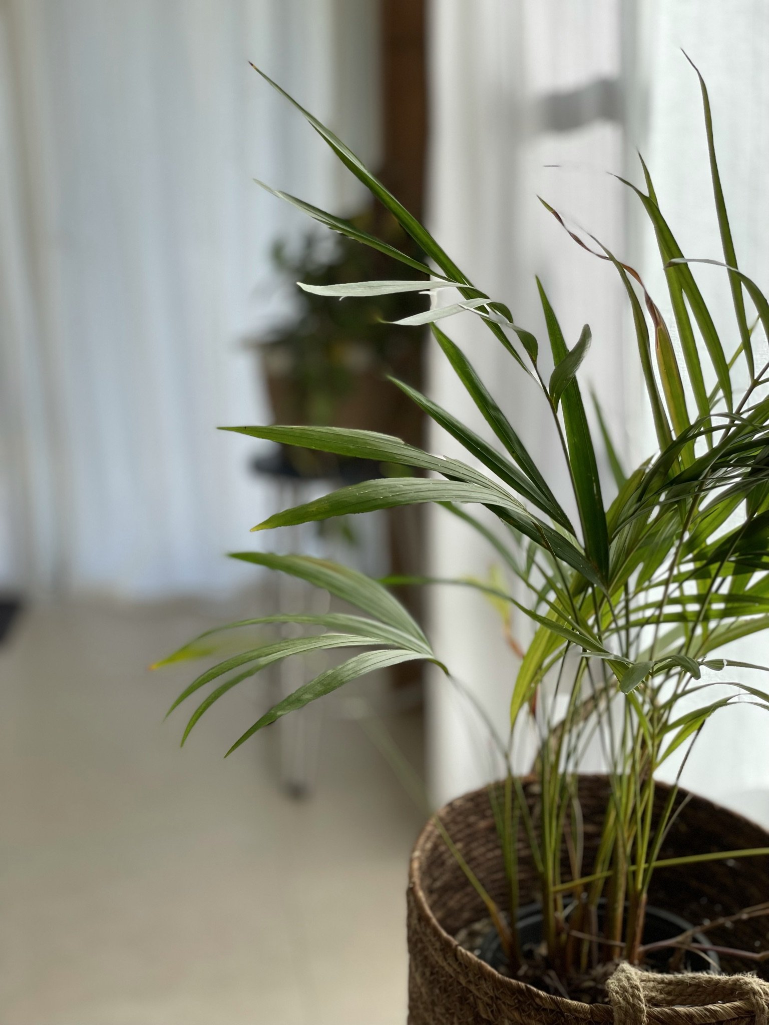 Shimrit Florsheim_AP House 015.JPEG