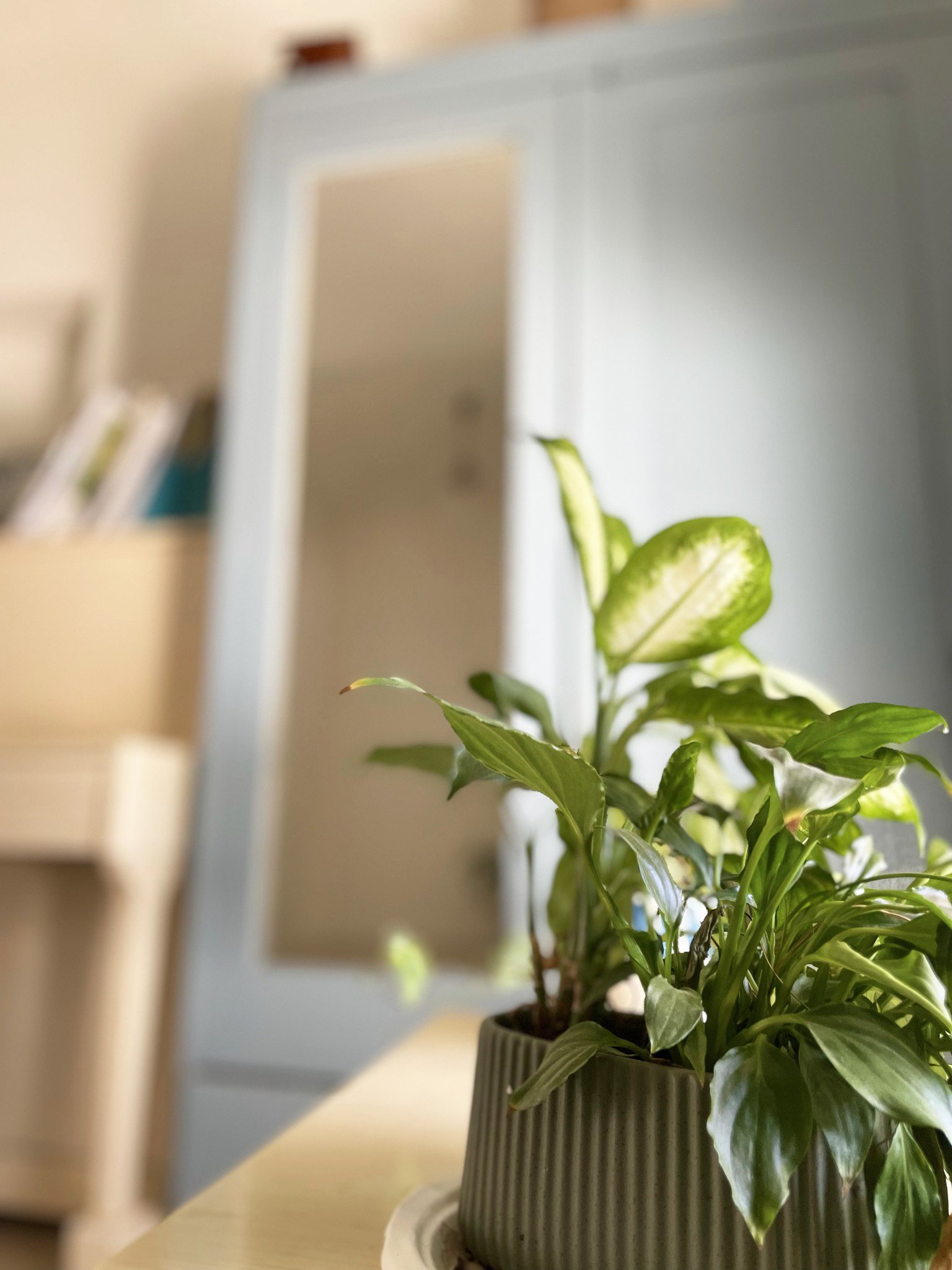 Shimrit Florsheim_AP House 03.JPEG