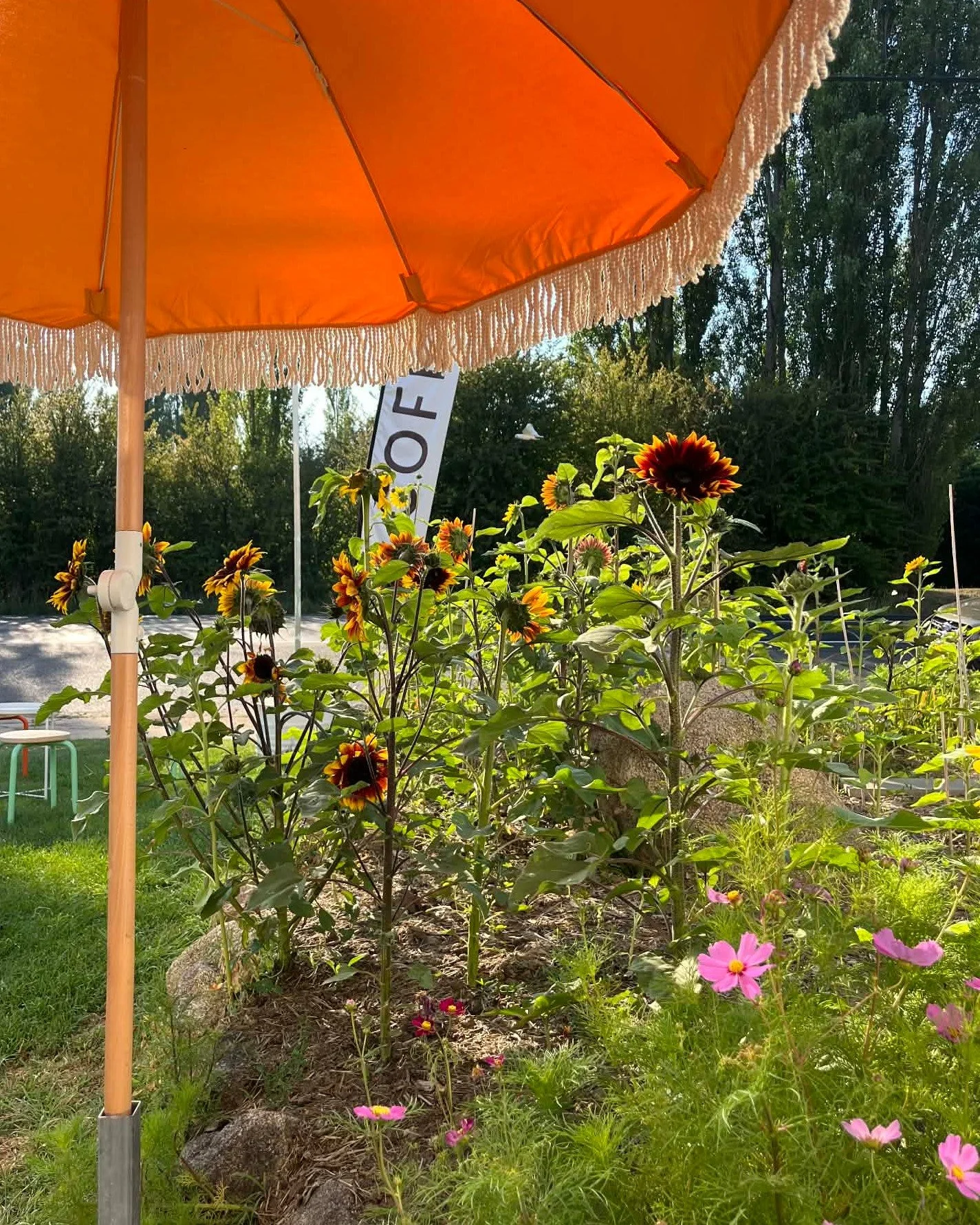 Our first FREE community event is happening this Saturday.
Meet You Halfway | 8:45am

Community, caffeine, and connection &mdash; the essentials 🤍

We&rsquo;re kicking off a monthly coffee date on the last Saturday of every month.
No agenda. No pres