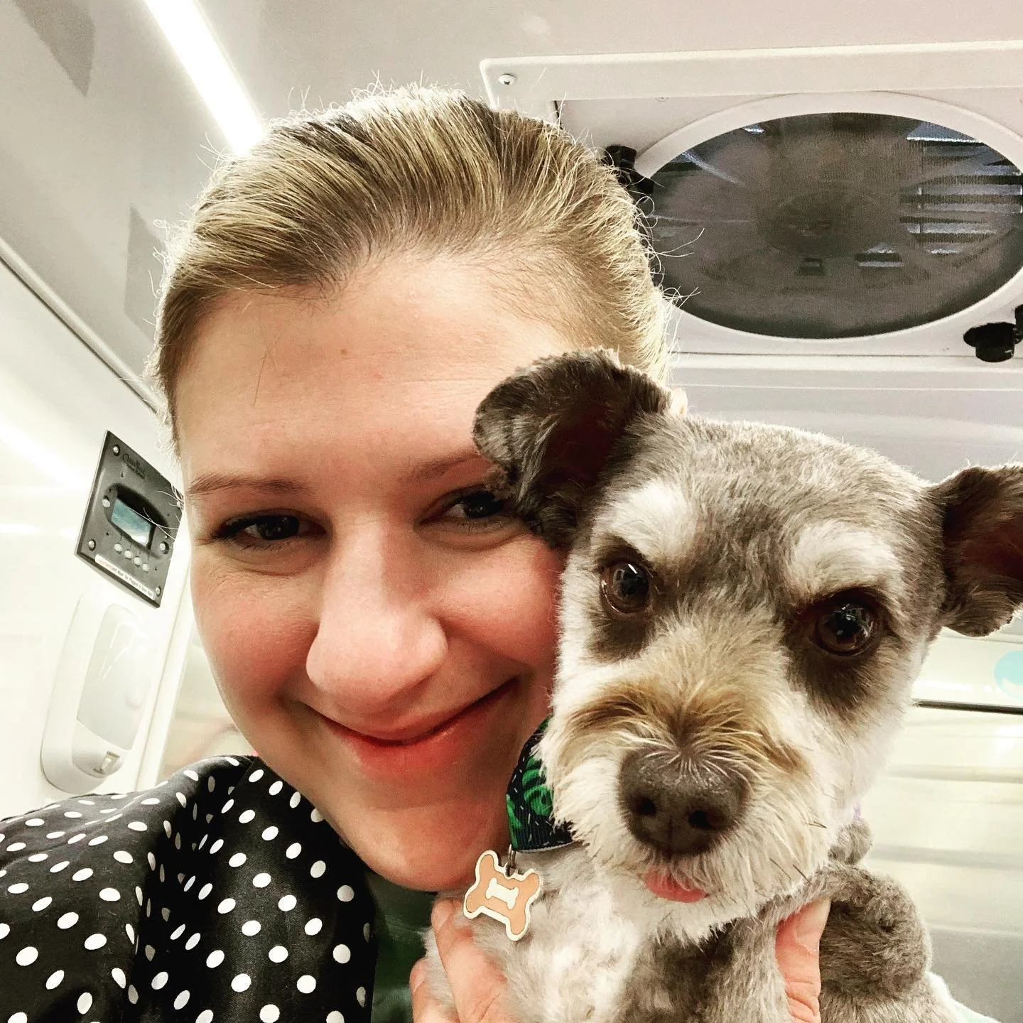 Goodbye for now sweet Bayley 💕🐾💕🤗 Enjoy your new home and maybe I&rsquo;ll be seeing you again soon 🙏🏻 

#muddypawsmobilegroomingsalon #schnauzer #moving #goodbye