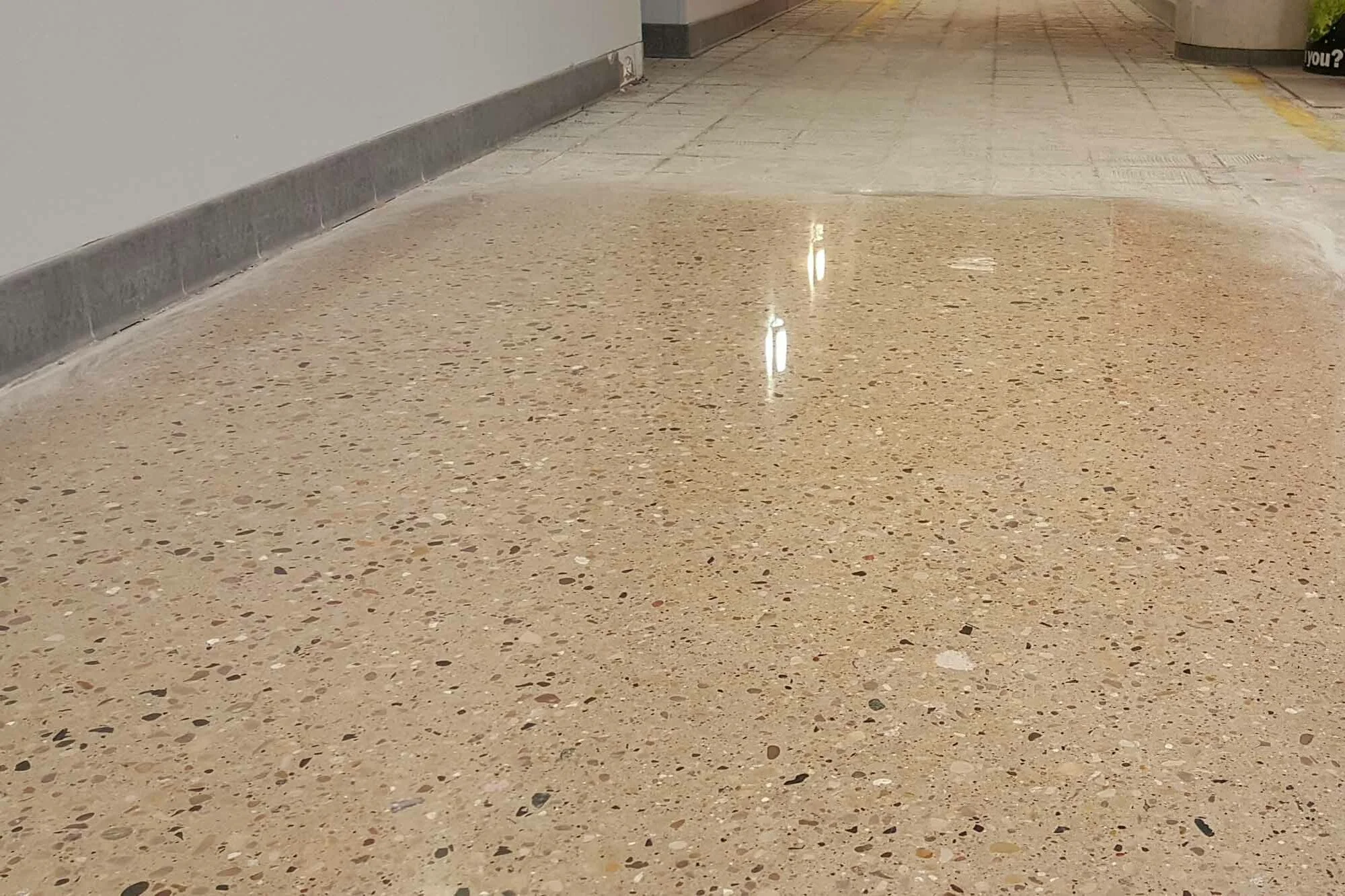 Polished Concrete in Royersford, PA