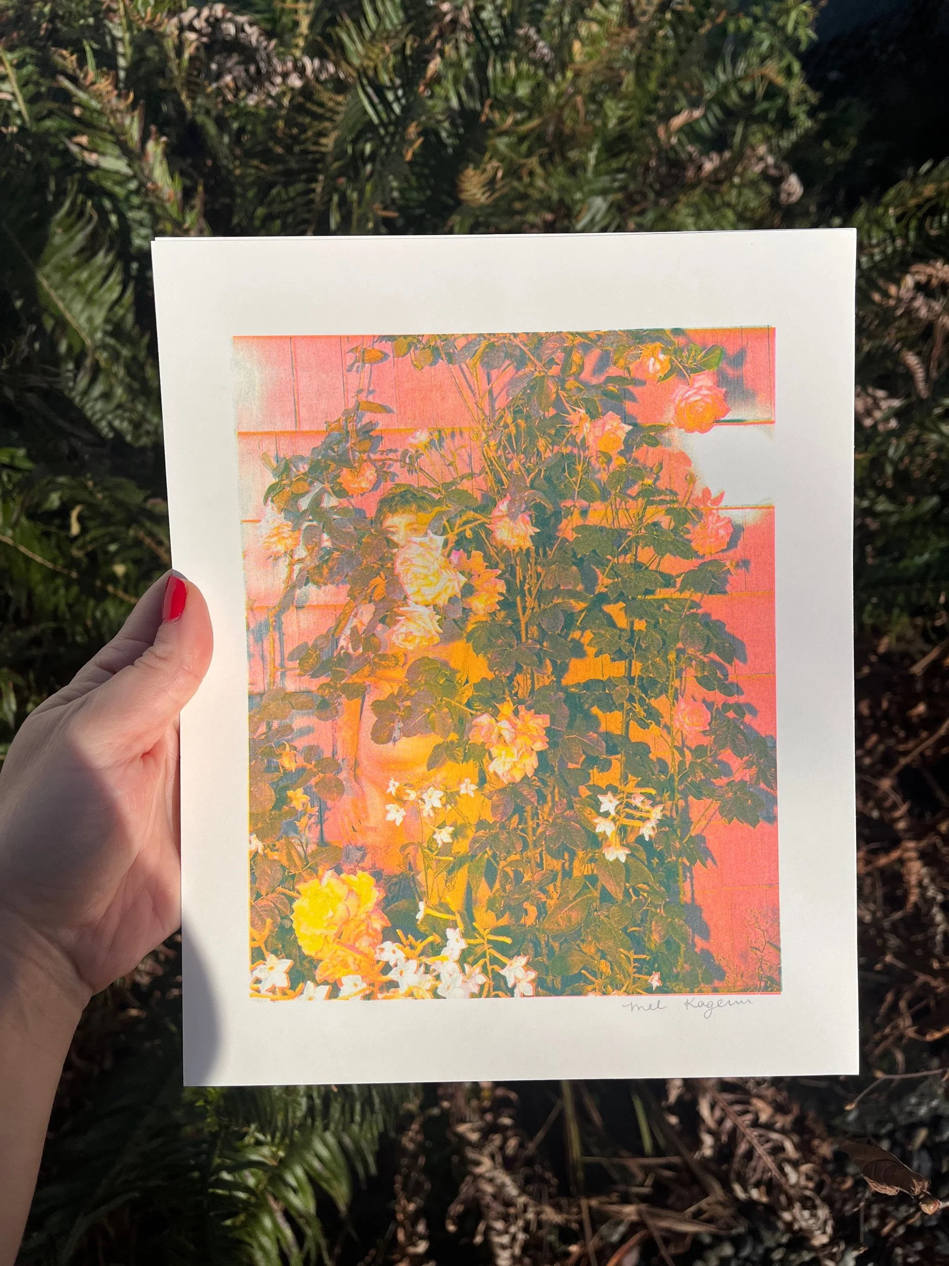 Practicing Vulnerability with a Rose Bush Riso Print