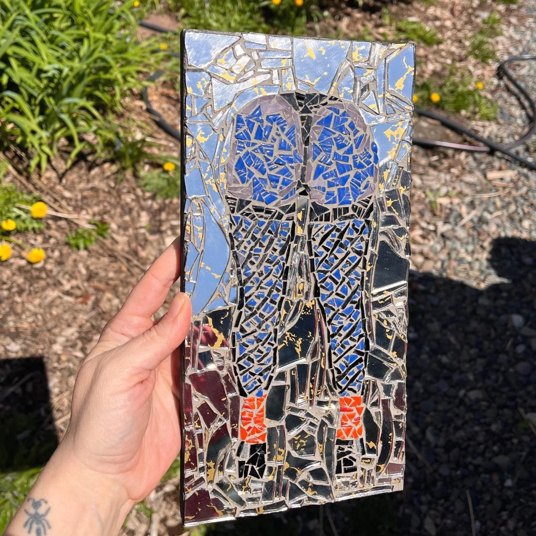 67E53DD3-D2CB-48A5-B899-D469F80BB9A8.jpg