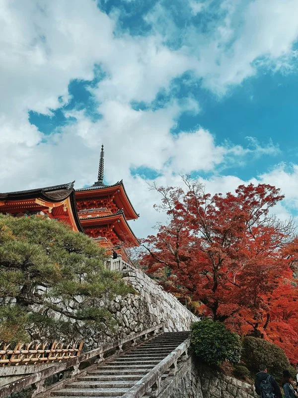 Japan_11.jpg