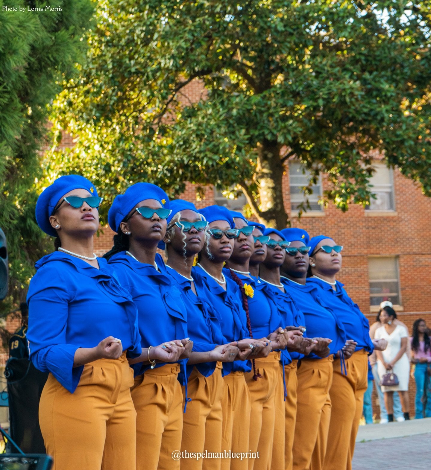 The yard just got 10x greater! Congratulations to the 10 newest members of @spelmansgrhos 💛💙. 

📸: @lornawura @mariama_njie75 

#spelmancollege #sgrho #1922 #poodles