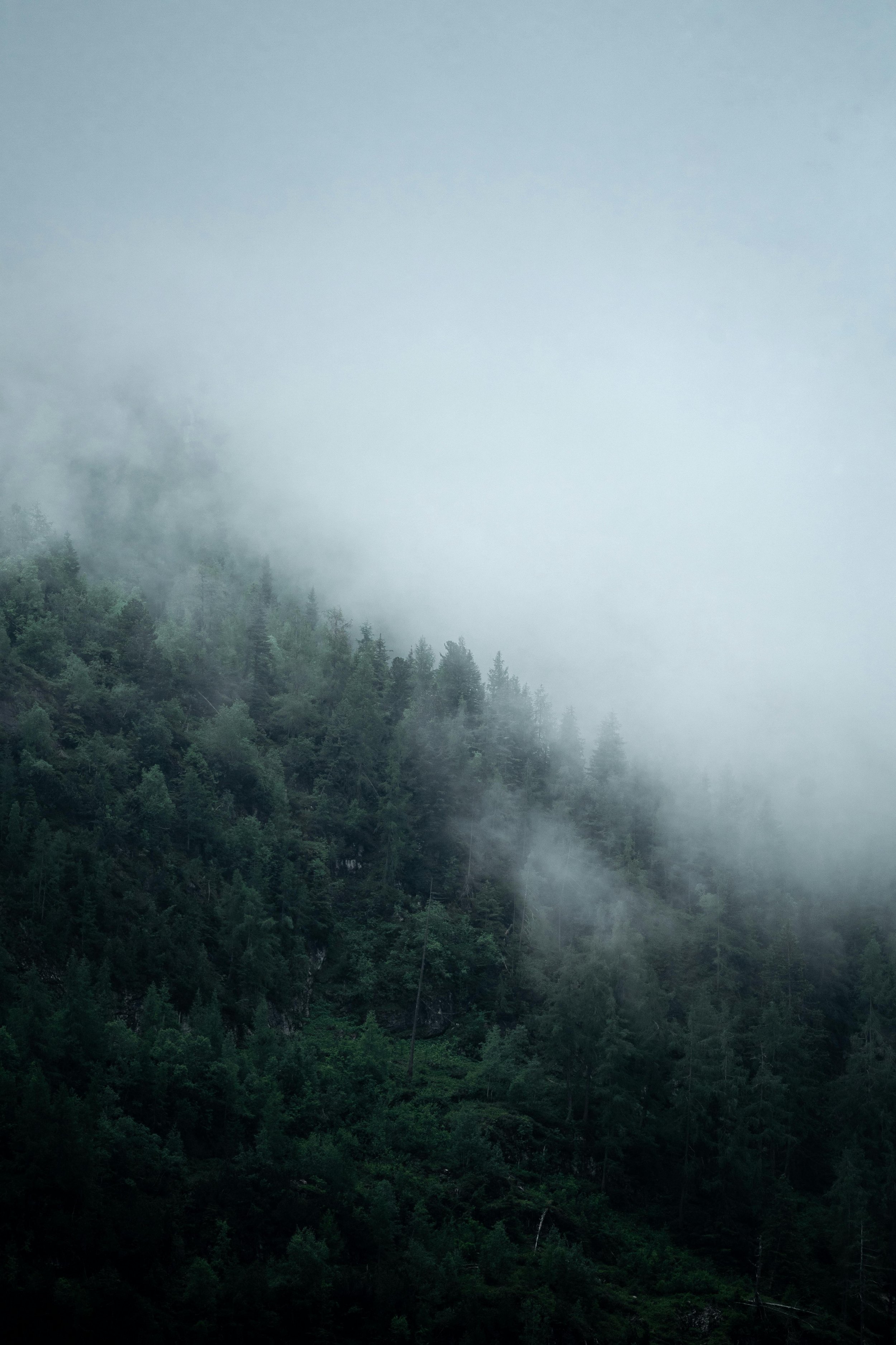 Why Protecting a Toxic Performer Is the Fastest Way to Erode Your Culture